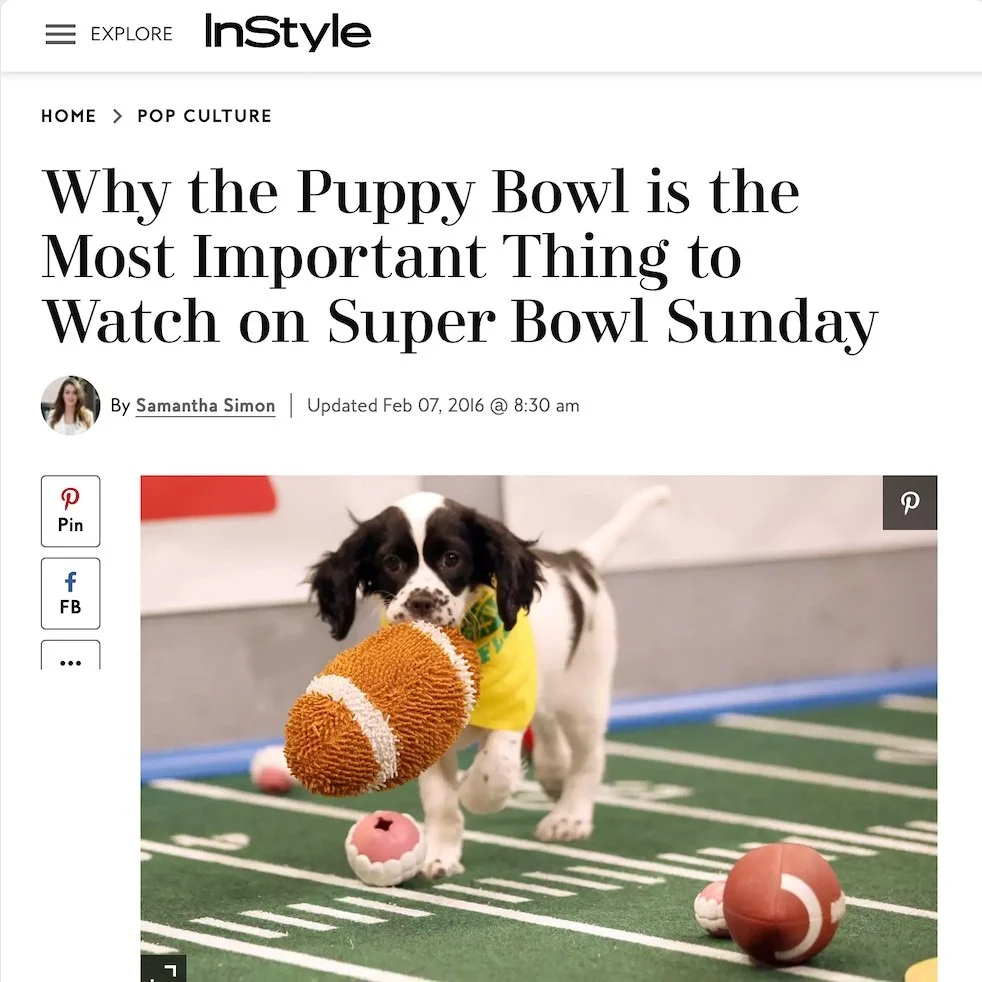 What to know about the Puppy Bowl