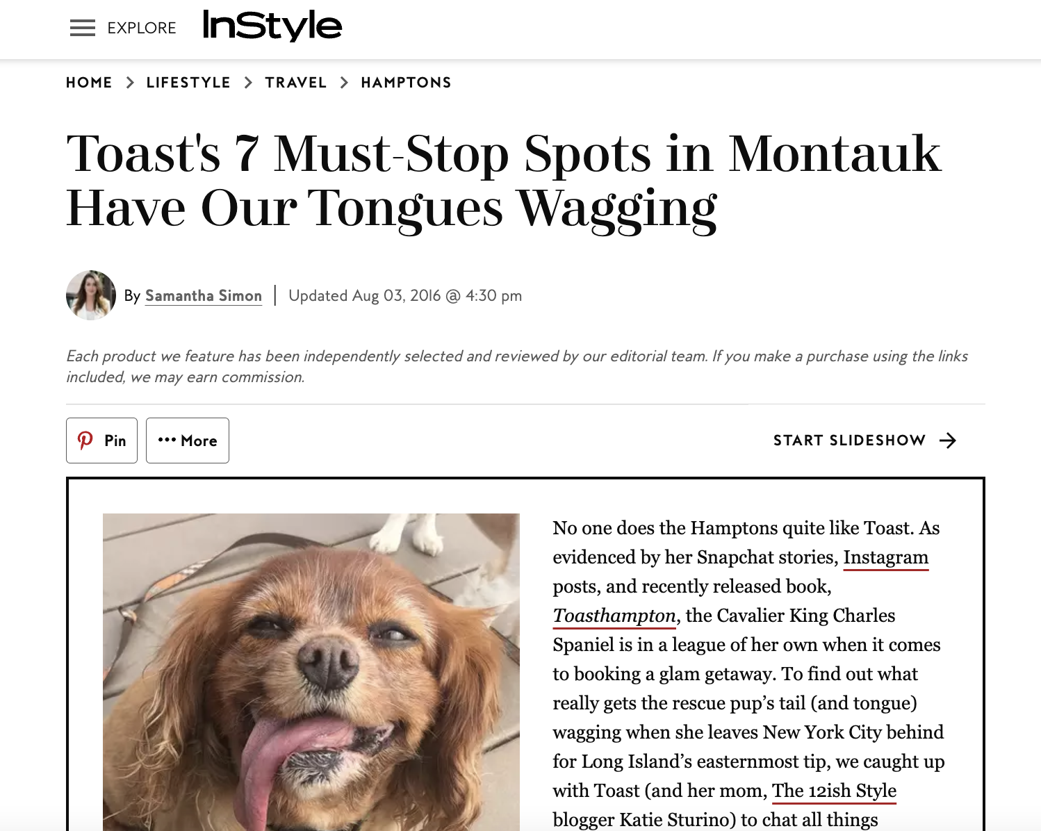 The best spots in Montauk, according to Instagram-famous pup Toast 