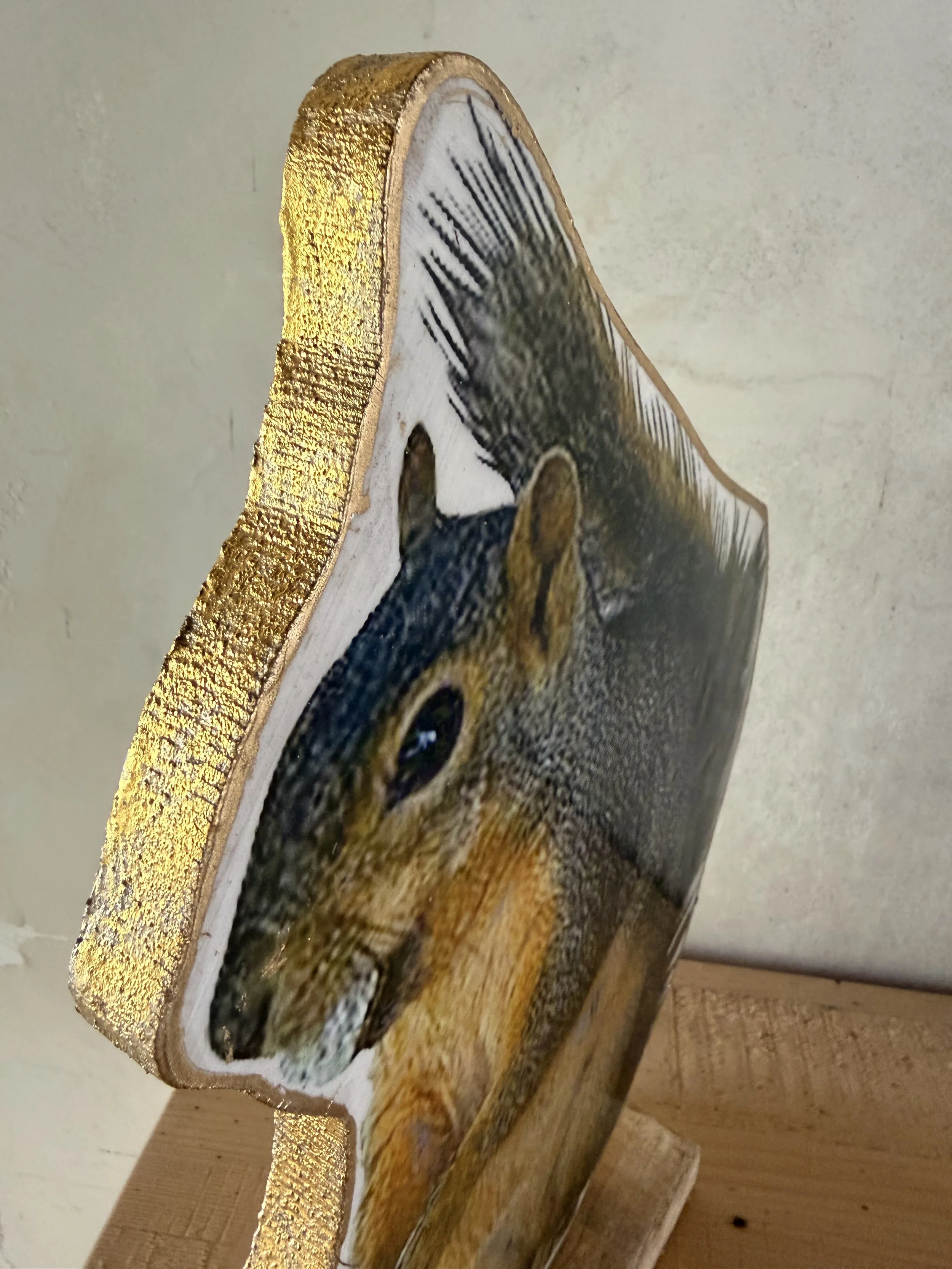 IMG_1242.jpeg (Copia)