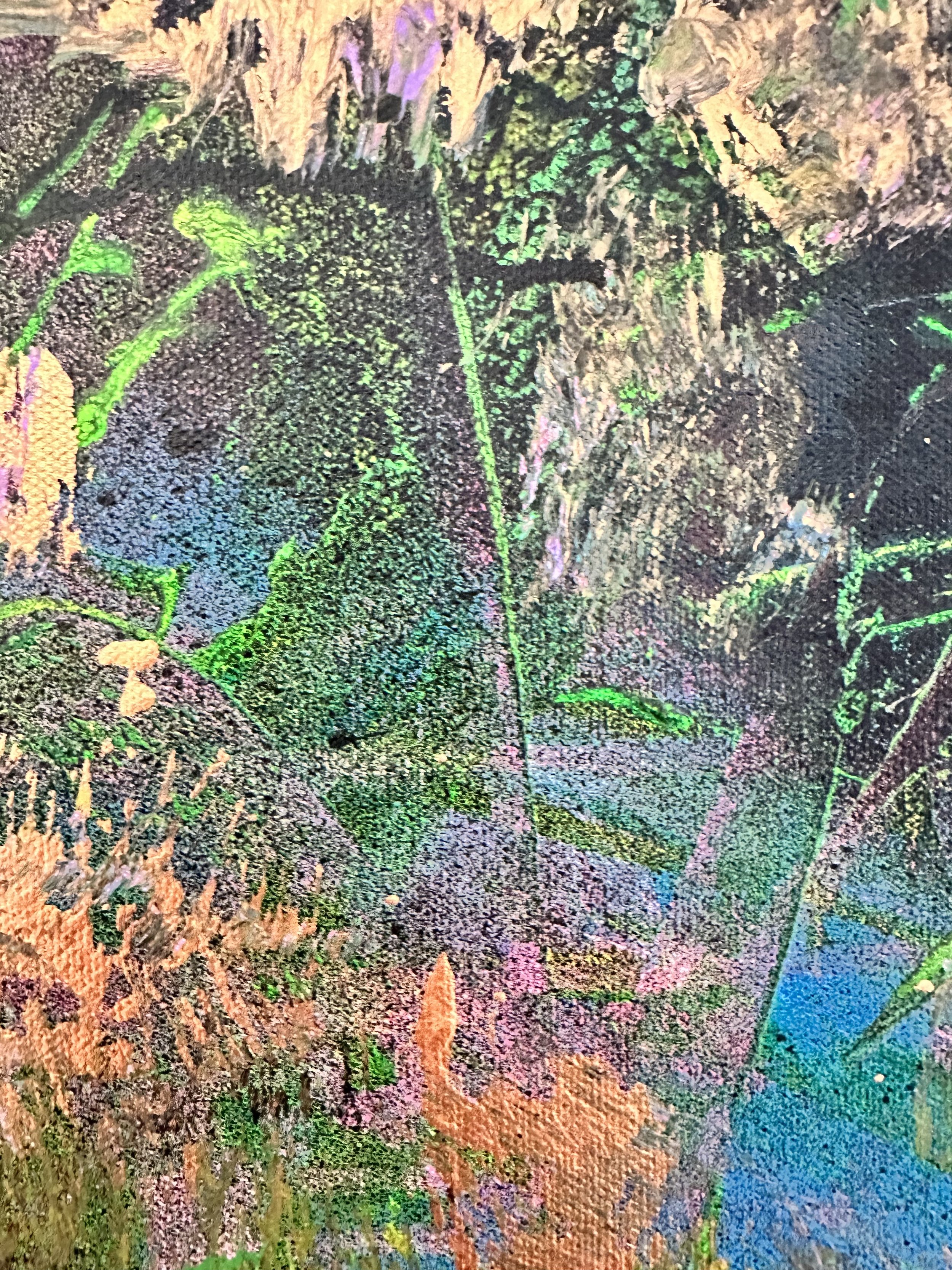 IMG_7645.jpeg