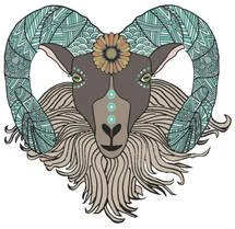 Flagstaff Wool & Fiber Festival