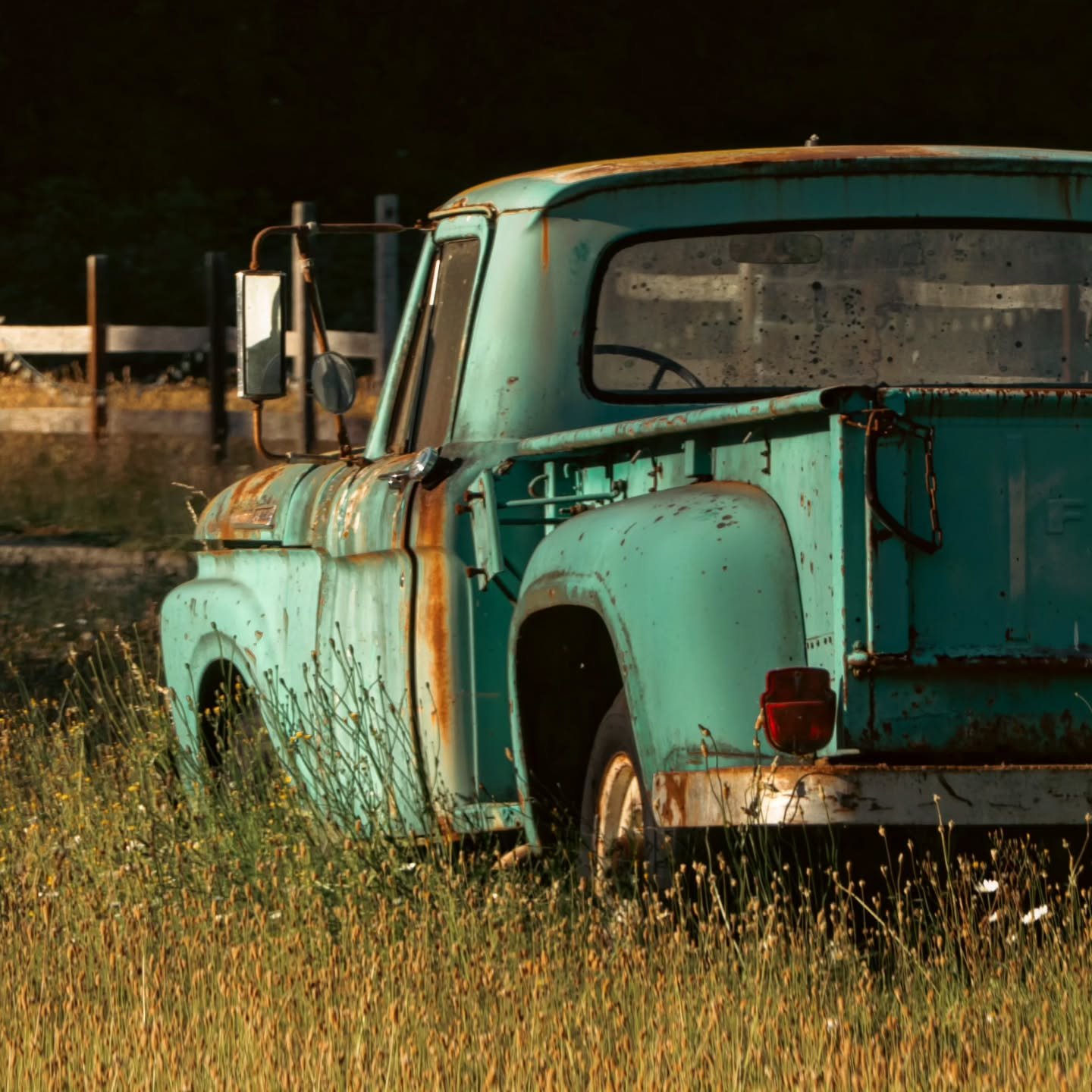 📸 In the nearly 200,000 miles I've traveled in van life, I've not been in the habit of making touristy photos

📸 The subjects I choose may not even capture the essence of the location. It's about the thing that I'm drawn to

📸 I observe my surroun