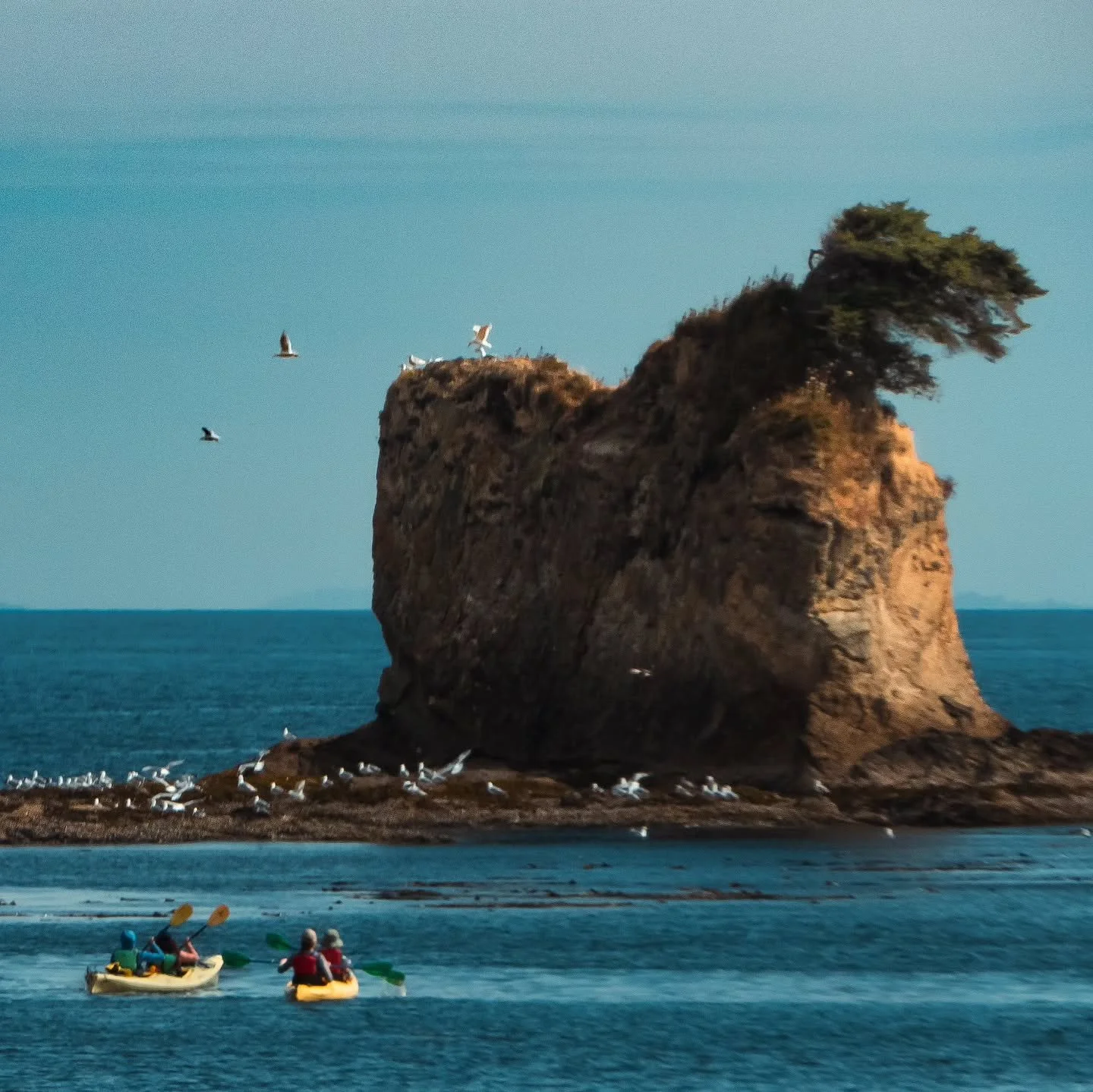 🛶 Watching boaters and kayakers put in on a gorgeous random Sunday at Fresh Water Bay 

🗓️ 20 July 2025
.
.
.
.
.
.
.
.
.
.
.
#scenicwa
#washingtonexplored
#washingtondiscovered
#experiencewashington
#onlyinwashington
#truetonature
#destinationpnw
