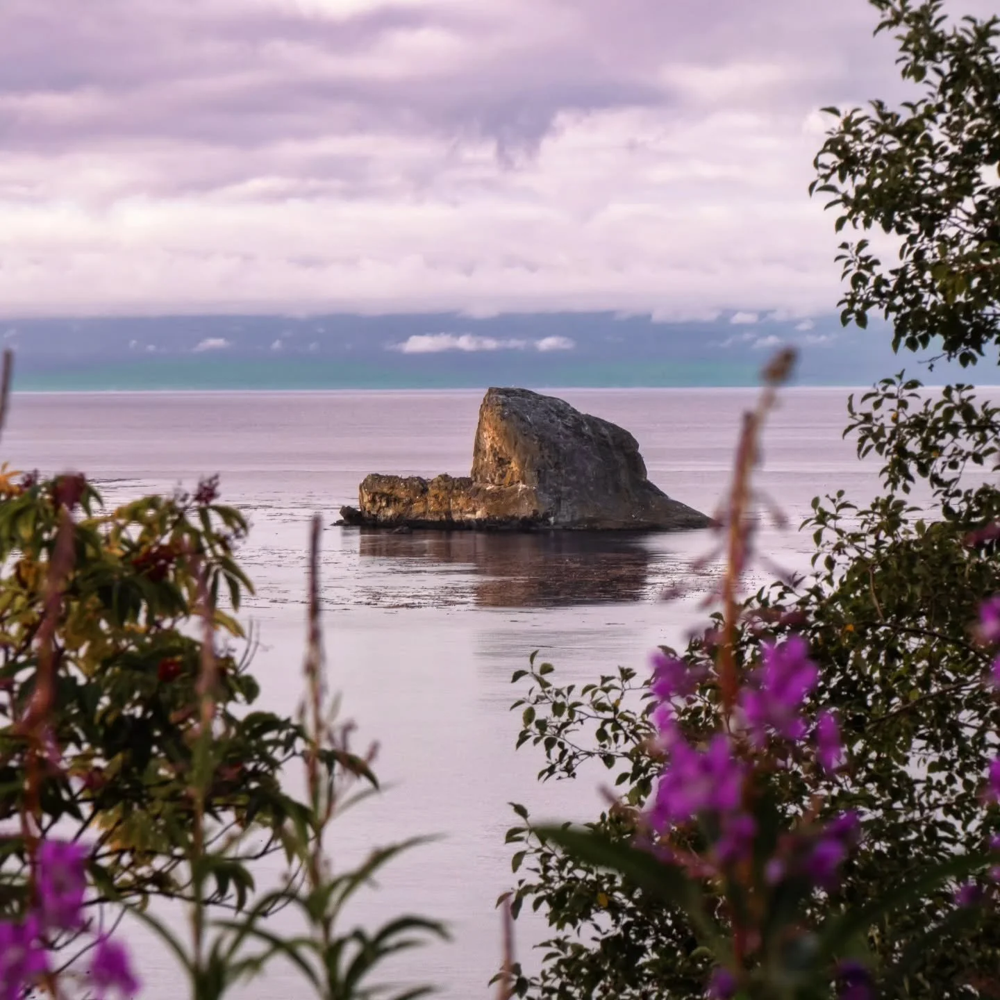 🌊 Strait of Juan de Fuca 

🗓️ 19 July 2025
.
.
.
.
.
.
.
.
.
.
#renegade_rural
#ruralexposures
#ruralexploration
#rurallife
#ruralphotography
#rsa_rural
#backroad_visions
#scenicwa
#washingtonexplored
#washingtondiscovered
#experiencewashington
#on