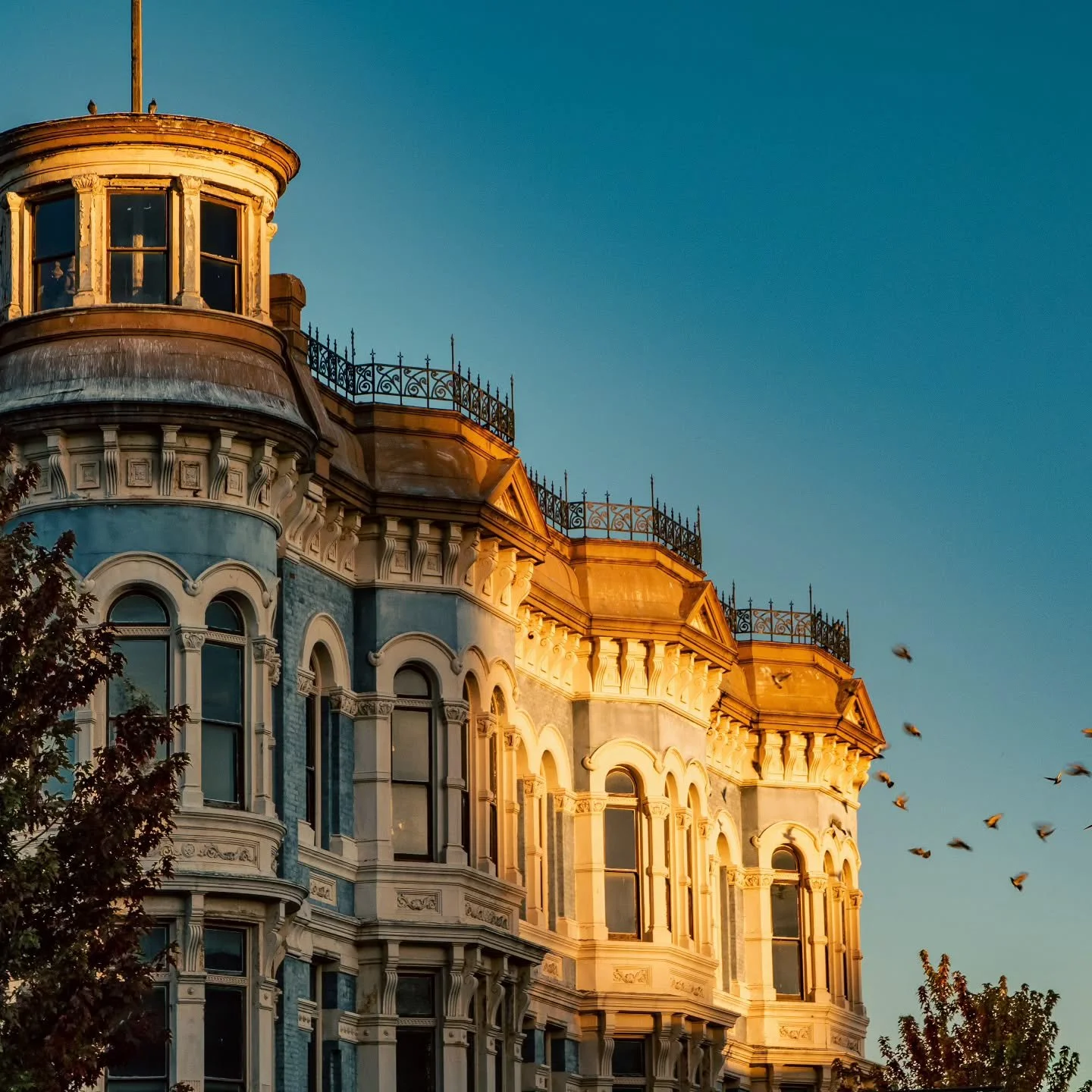 Golden hour lights up the Hastings Building
.
.
.
.
.
.
.
.
.
.
#scenicwa
#washingtonexplored
#washingtondiscovered
#experiencewashington
#onlyinwashington
#destinationpnw
#pnwdiscovered
#enjoypt 
#olympicpenisula
