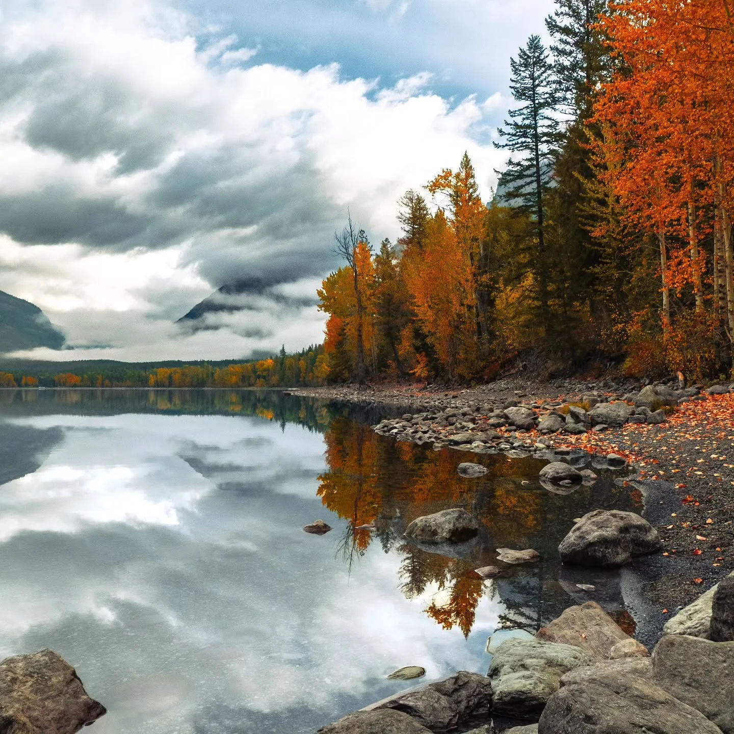 🍁 It's happening!

🍂 What's your autumnal happy place? 
.
.
.
.
.
.
.
.
.
.
#raw_landscape_
#landscapeoftheday
#landscapelover
#iglandscapes
#landscape_love
#landscape_capture 
#MontanaMoment
#onlyinmontana
#autumn
#fallcolors
#fallvibes
#wow_ameri