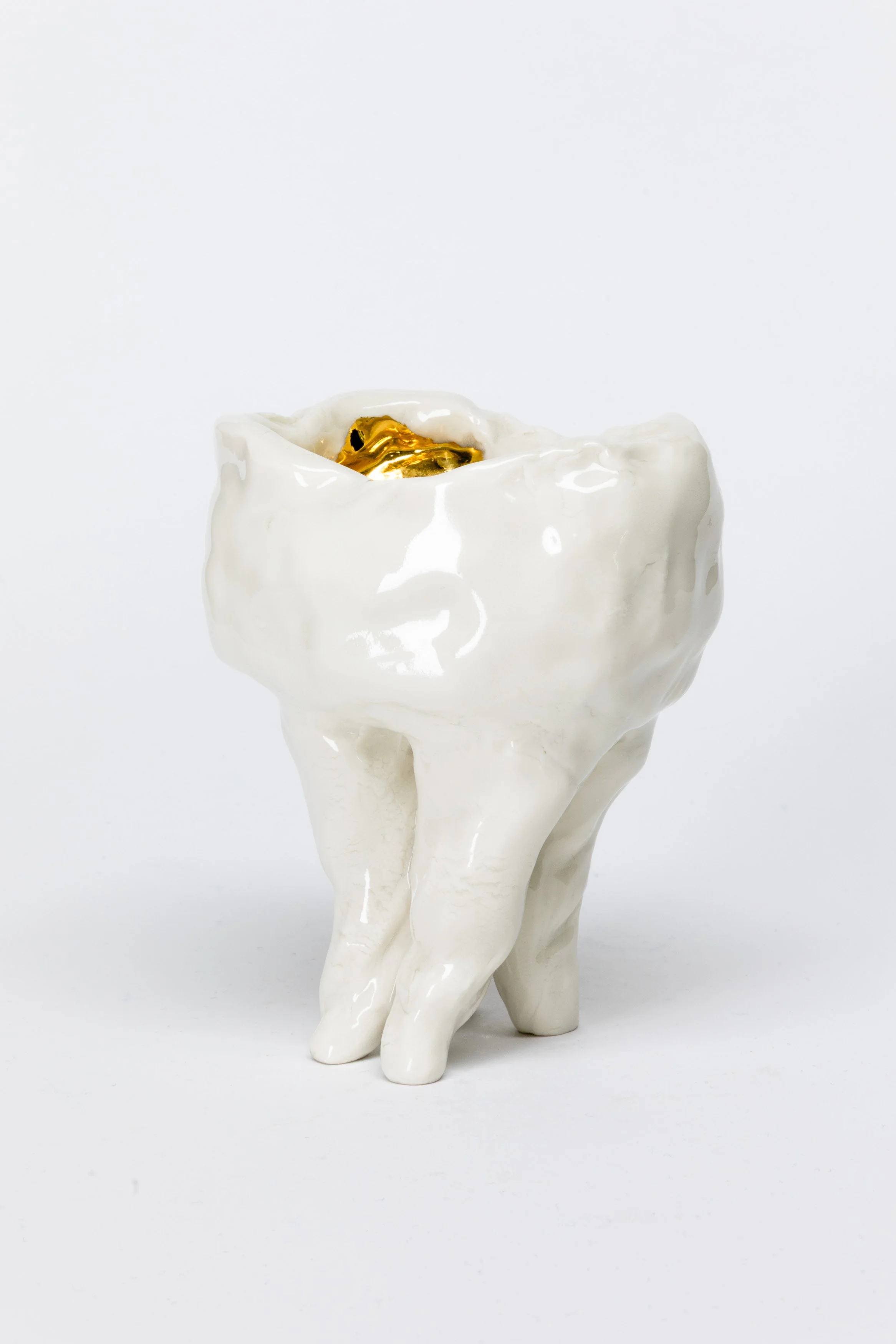 AJ_dentes_002.jpg