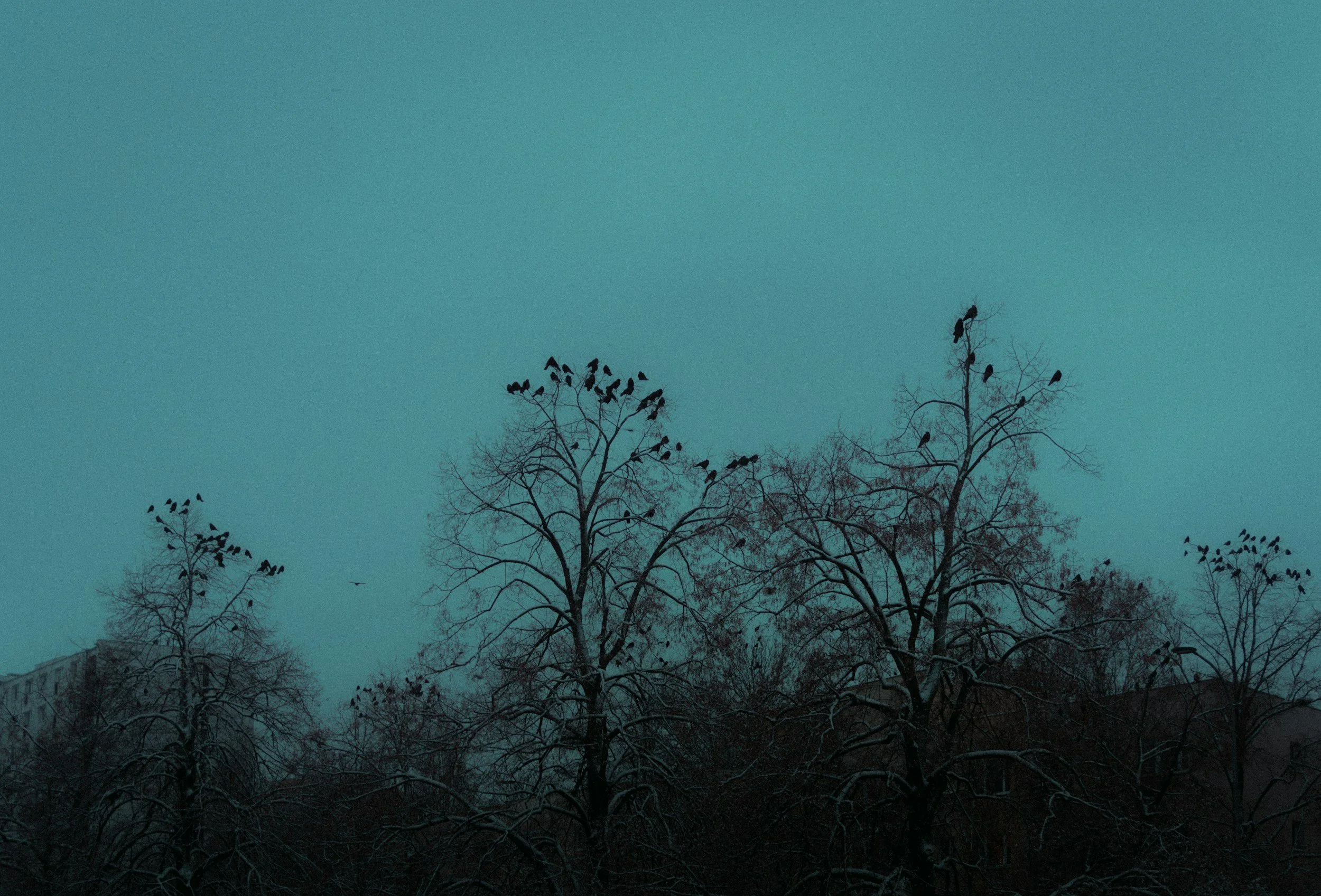 Not All Relationships Are Meant to Last Forever — And That Doesn’t Mean They Failed