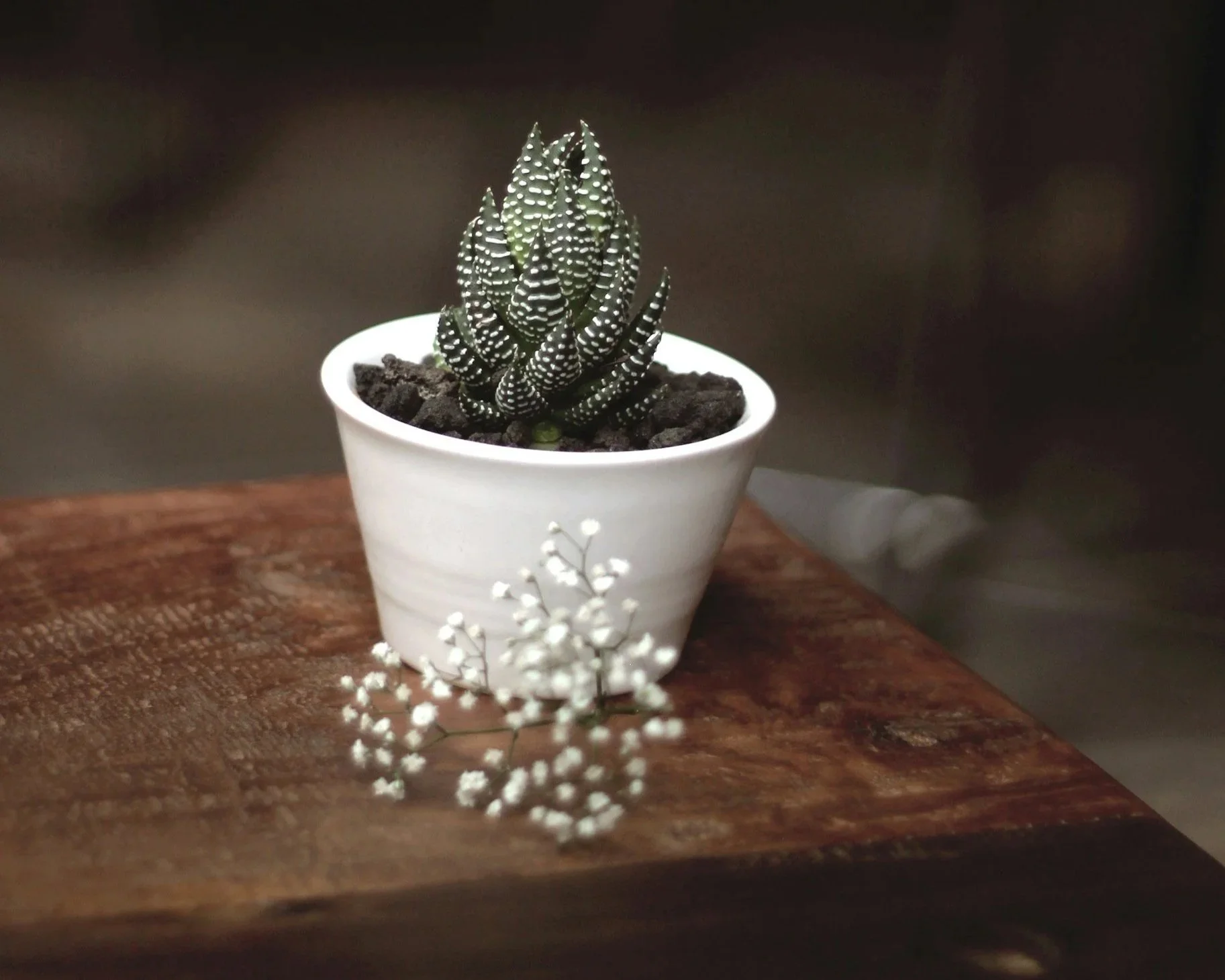 Understanding Expectations in Therapy: What Goals Are Realistic?