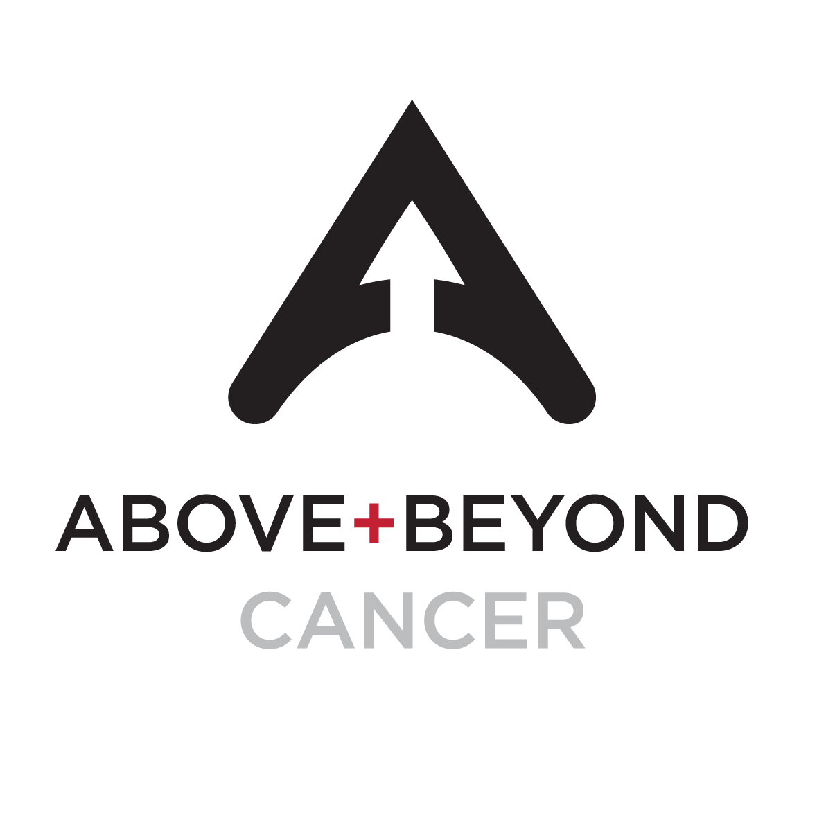 Donate — The Above and Beyond Foundation