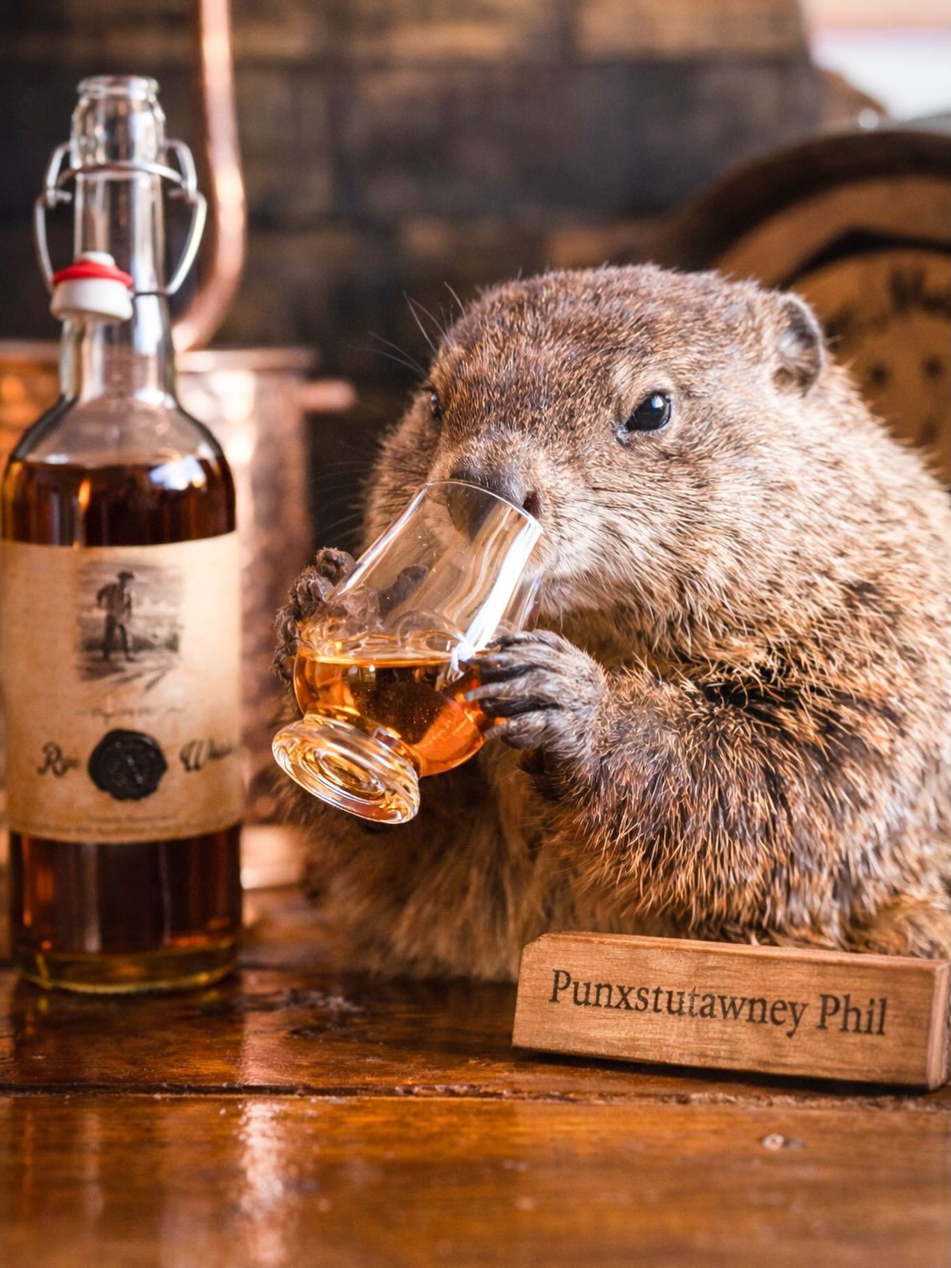 Punxsutawney Phil saw his shadow and immediately stress-drank.
We get it, Phil. We really do. 🦫🥃

#drinklocal #punxyphil #groundhogday #craftdistillery #wedrink
