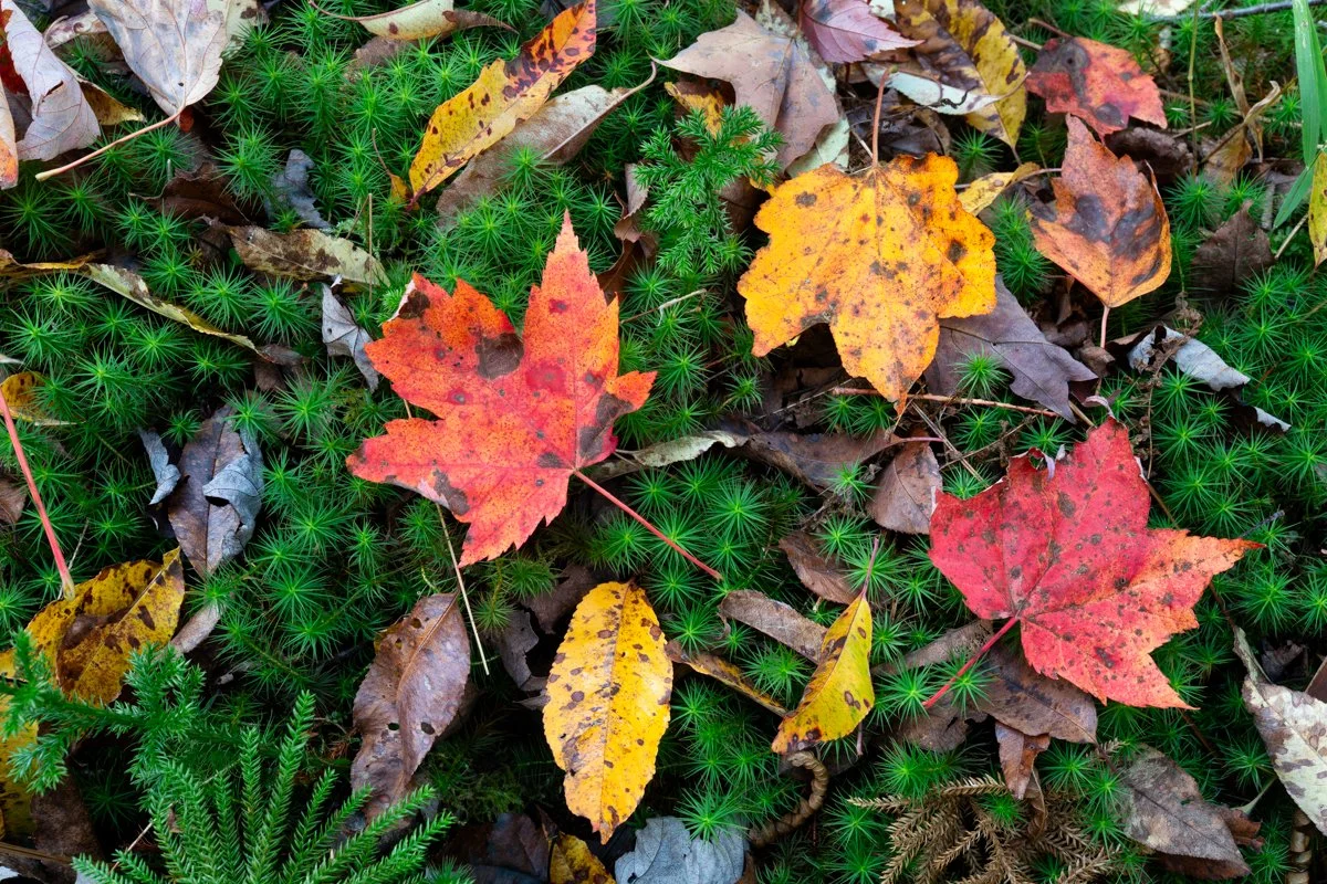 _0202187.jpg