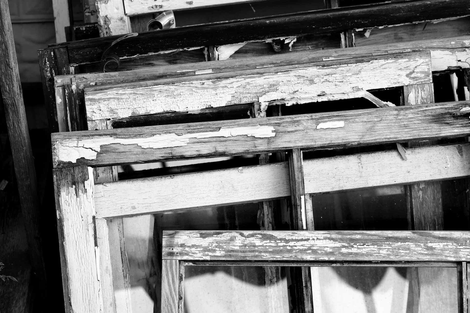 _DSC0525.jpg