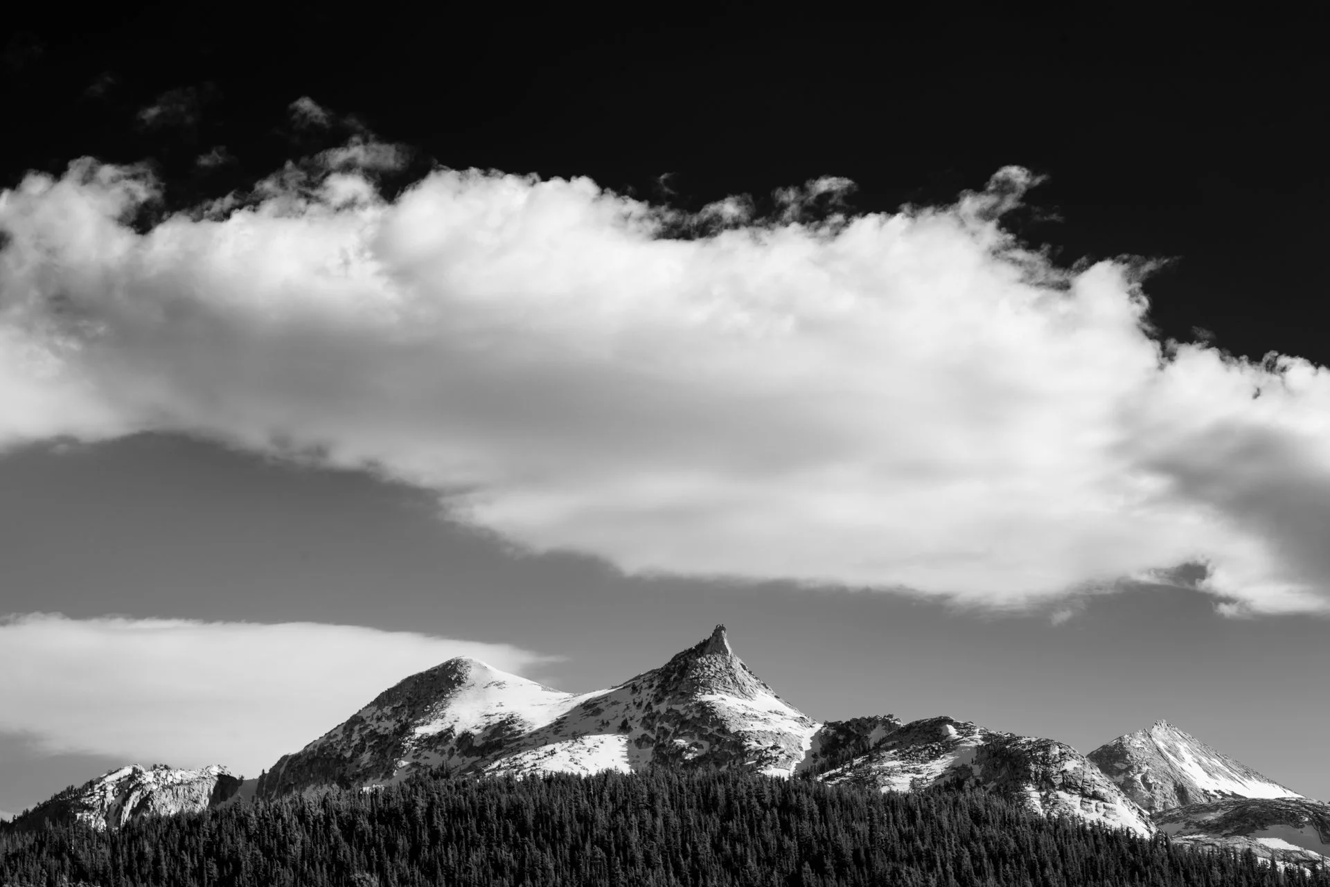 _DSC3669.jpg