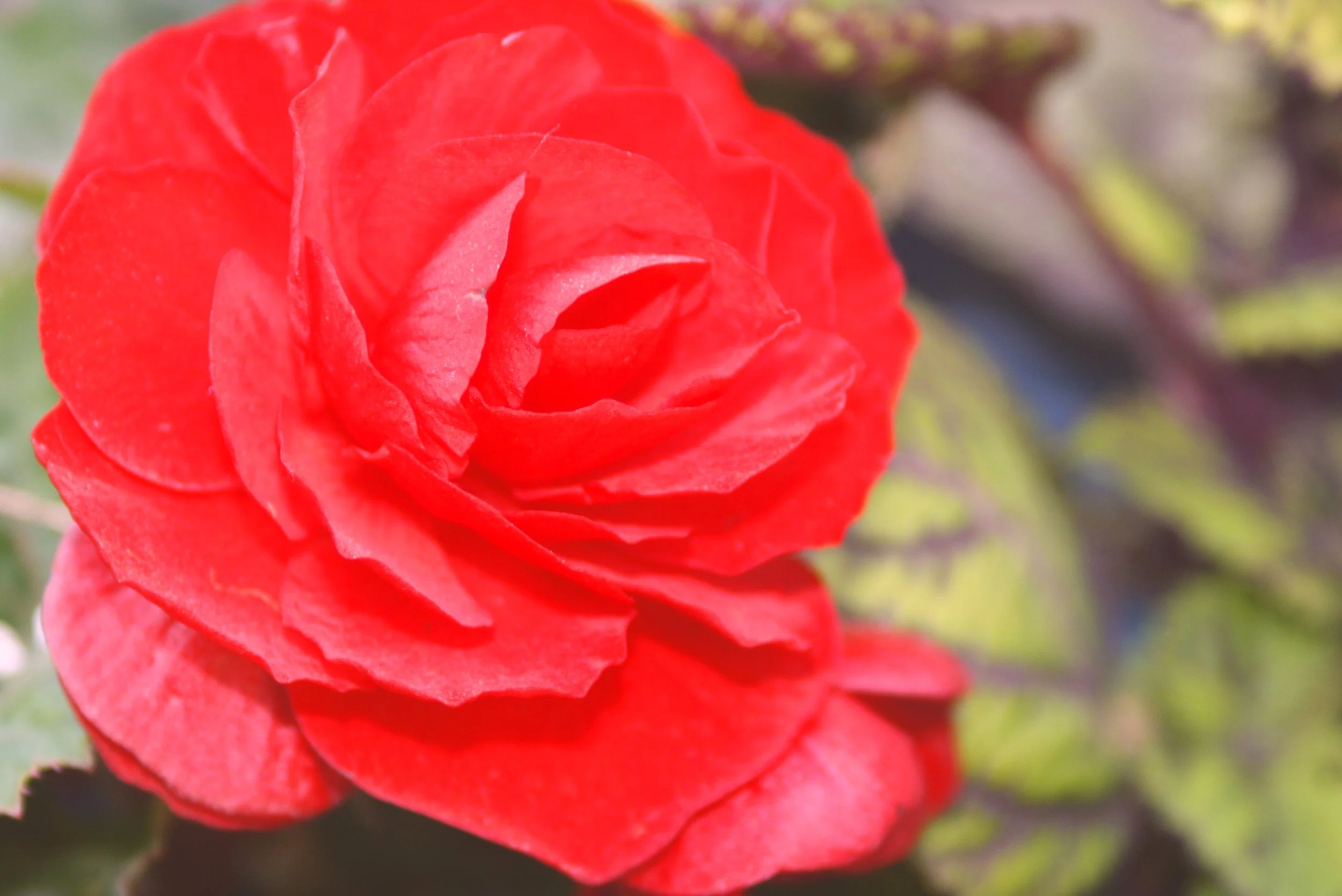 What does ancient evidence tell us about religion in the ancient worlds:&nbsp;Using new technology and contemporary theory to re-evaluate and reframe&nbsp;