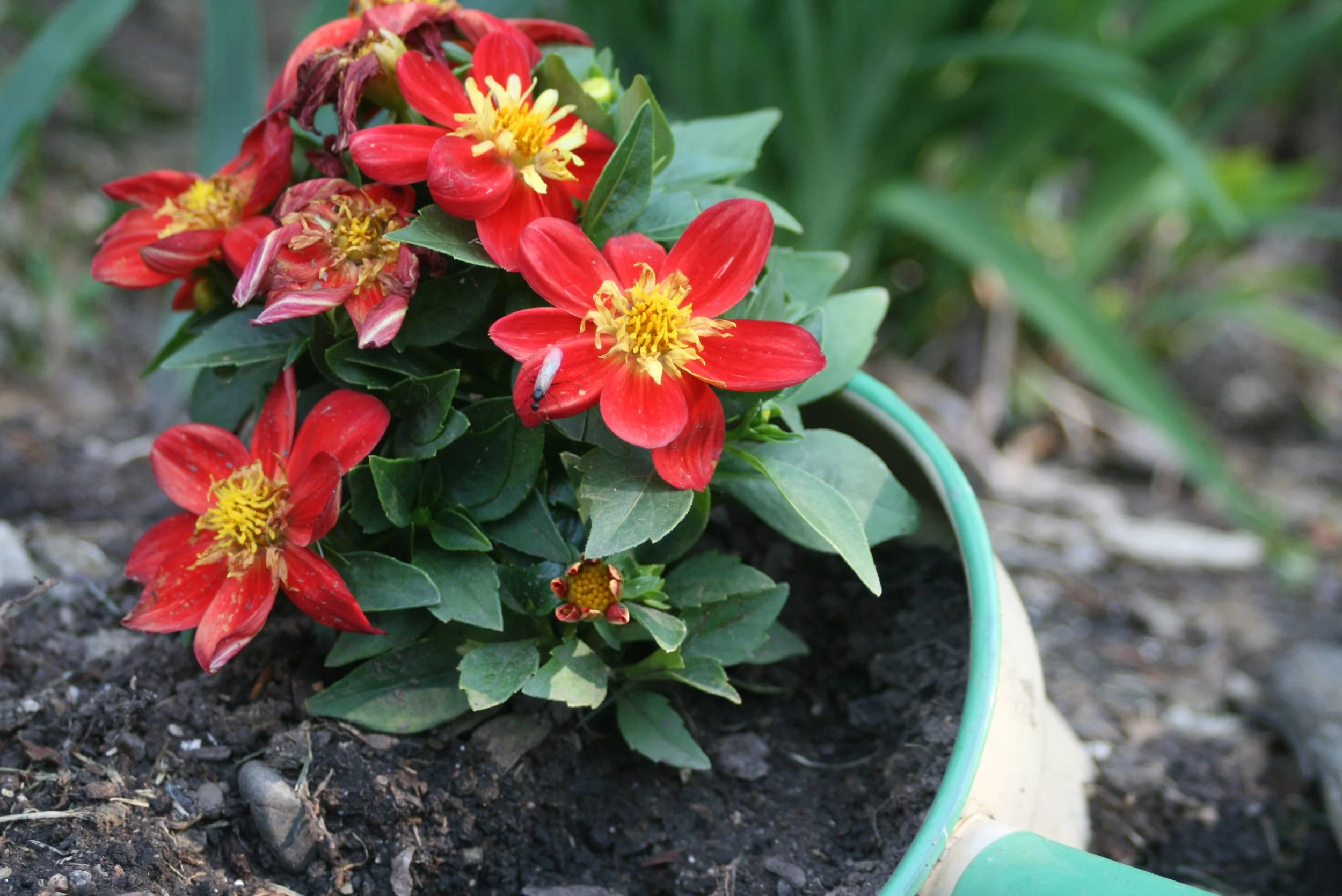 Black Voices are a Necessary Aspect of National Culture