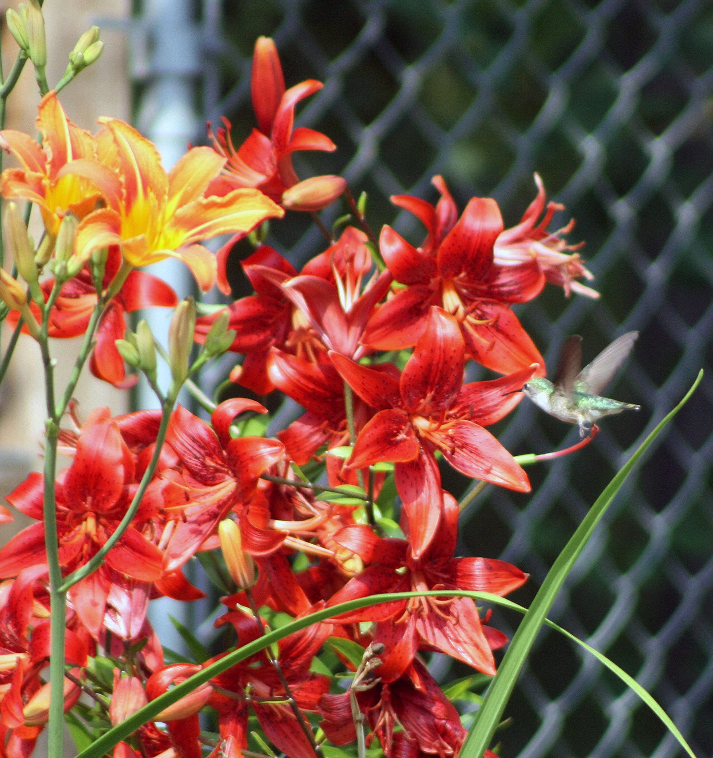 How influence and persuasion on social media is a democratic conundrum&nbsp;