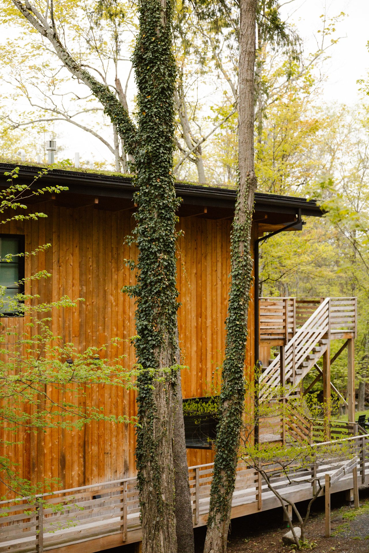 woodstock-aprilSC-23.jpg