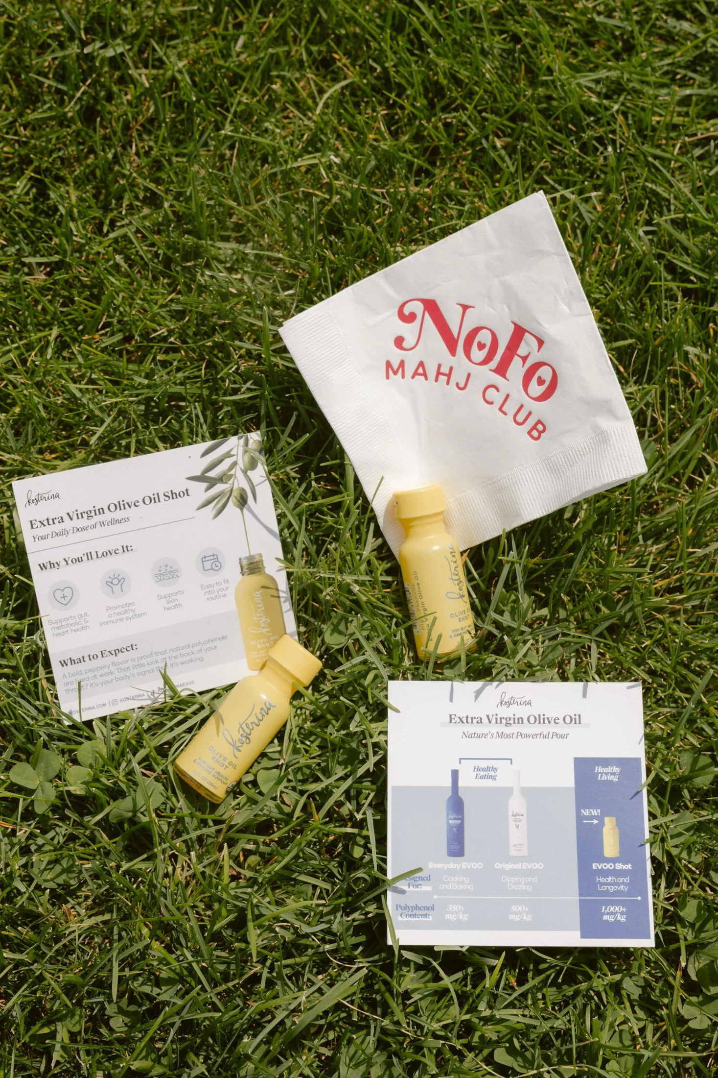 sc-Nofo-19.jpg