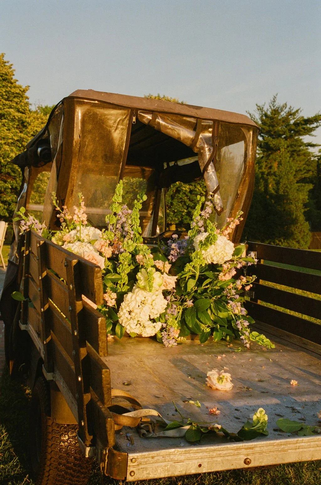 june.13.35mm-26.jpg