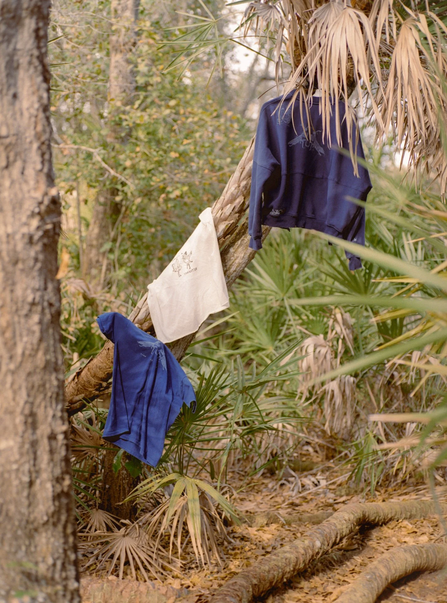 Clementine Cowboy — Artist Studio Photography