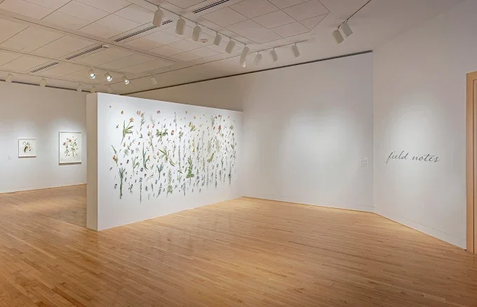 1. Field Notes, installation view, Varley Art Gallery of Markham, 2023 web.webp