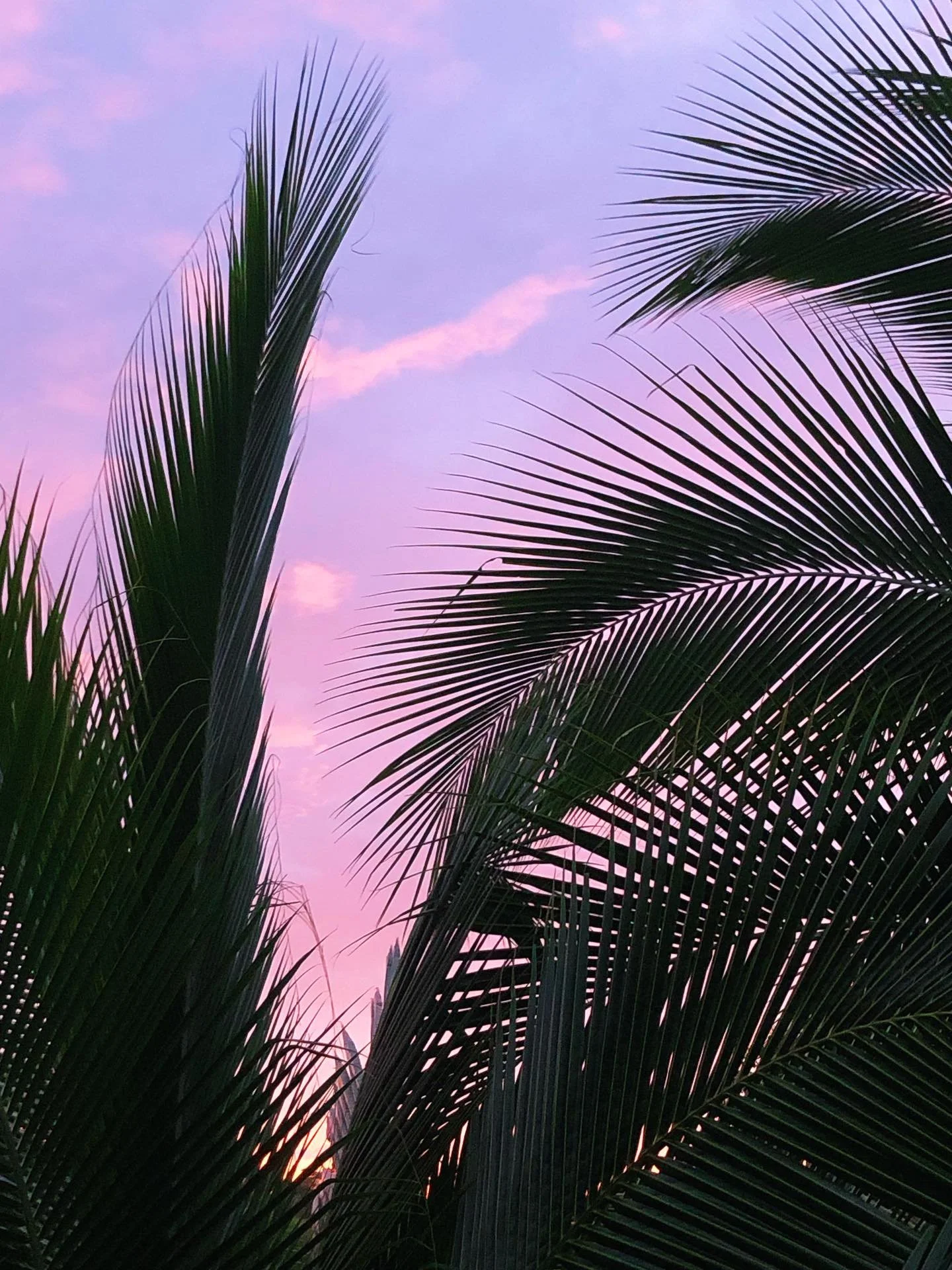 3 different skies - the same evening 🌅 Costa Rica is magical this time of year. ⛈️ Rainy season brings a mix of amazing thunderstorms, lightning shows, extremely colorful sunsets, and the most lush green rainforest you&rsquo;ve ever seen ❤️ Come see