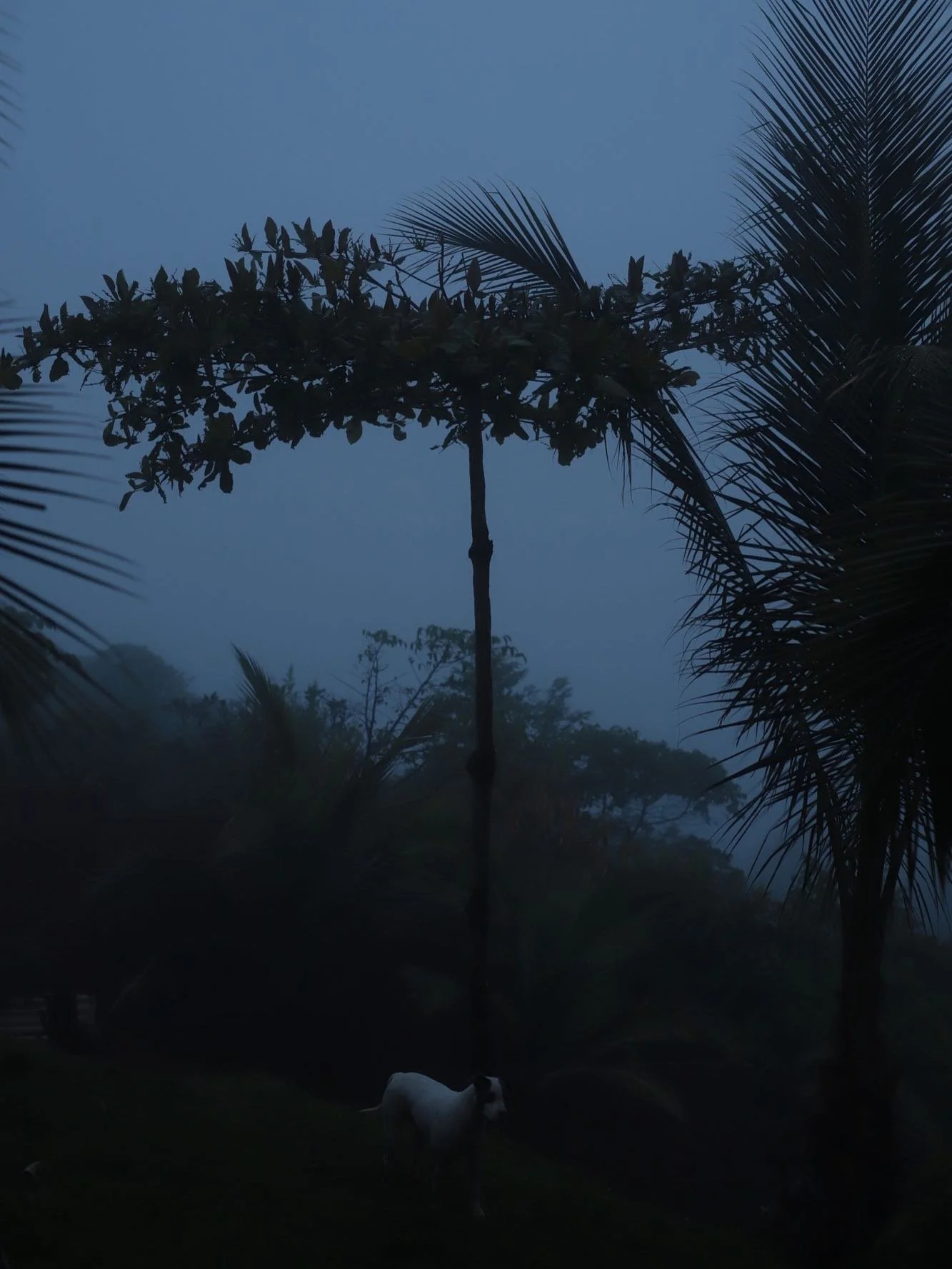 ☁️ Rainy Season means we have moody evenings in the mountain ⛰️ Perfect for cooking classes📍 Costa Rica 🇨🇷 #bellavistacocina #costarica #visitcostarica #rainyseason🌧️ #octobermood
