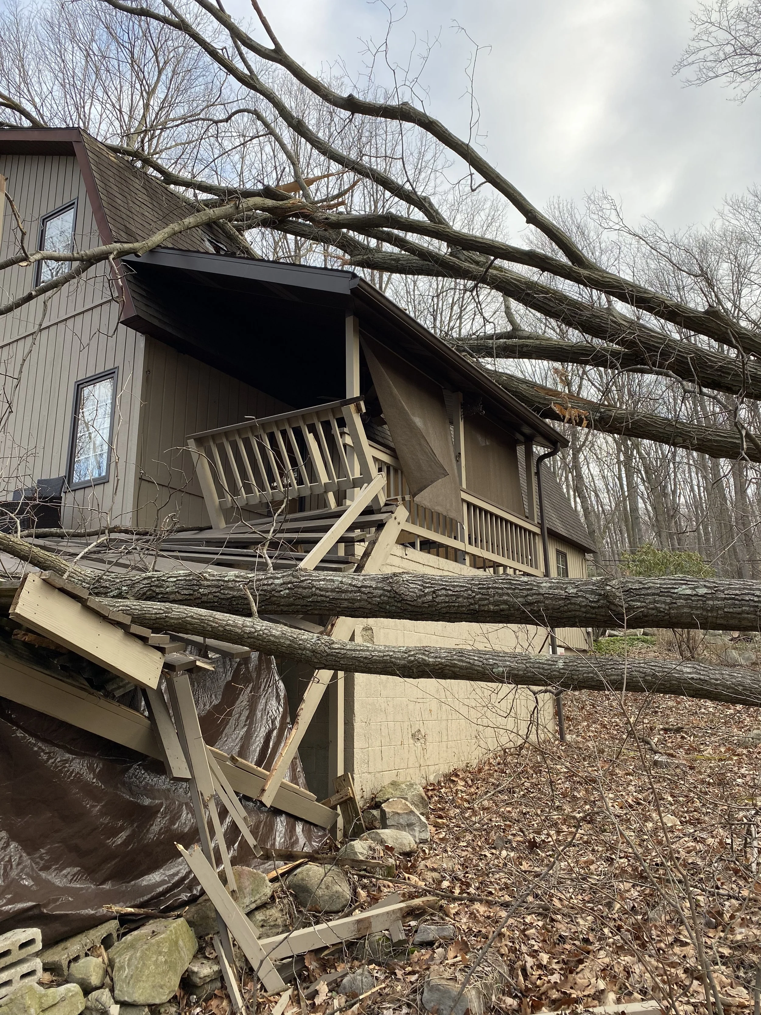 A house with a damaged roof shows fallen tree branches resting on top, with a partial view of a balcony and trees without leaves in the background.