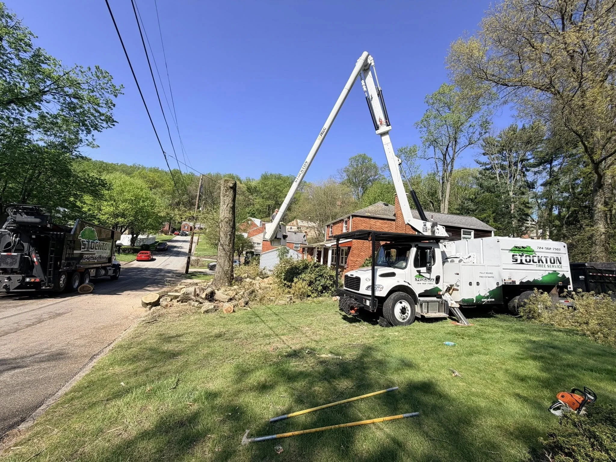 A tree removal service uses an extendable boom lift on a truck to cut down a large tree in a residential neighborhood with houses and a wooded area in the background.