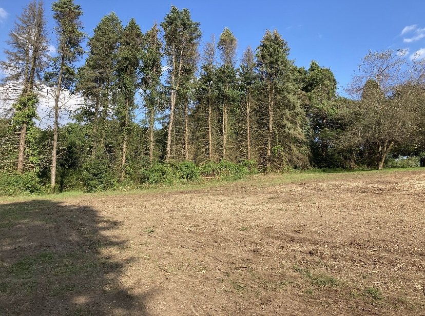 Open clearing with dirt ground in foreground, surrounded by tall trees and green bushes, under a partly cloudy blue sky.