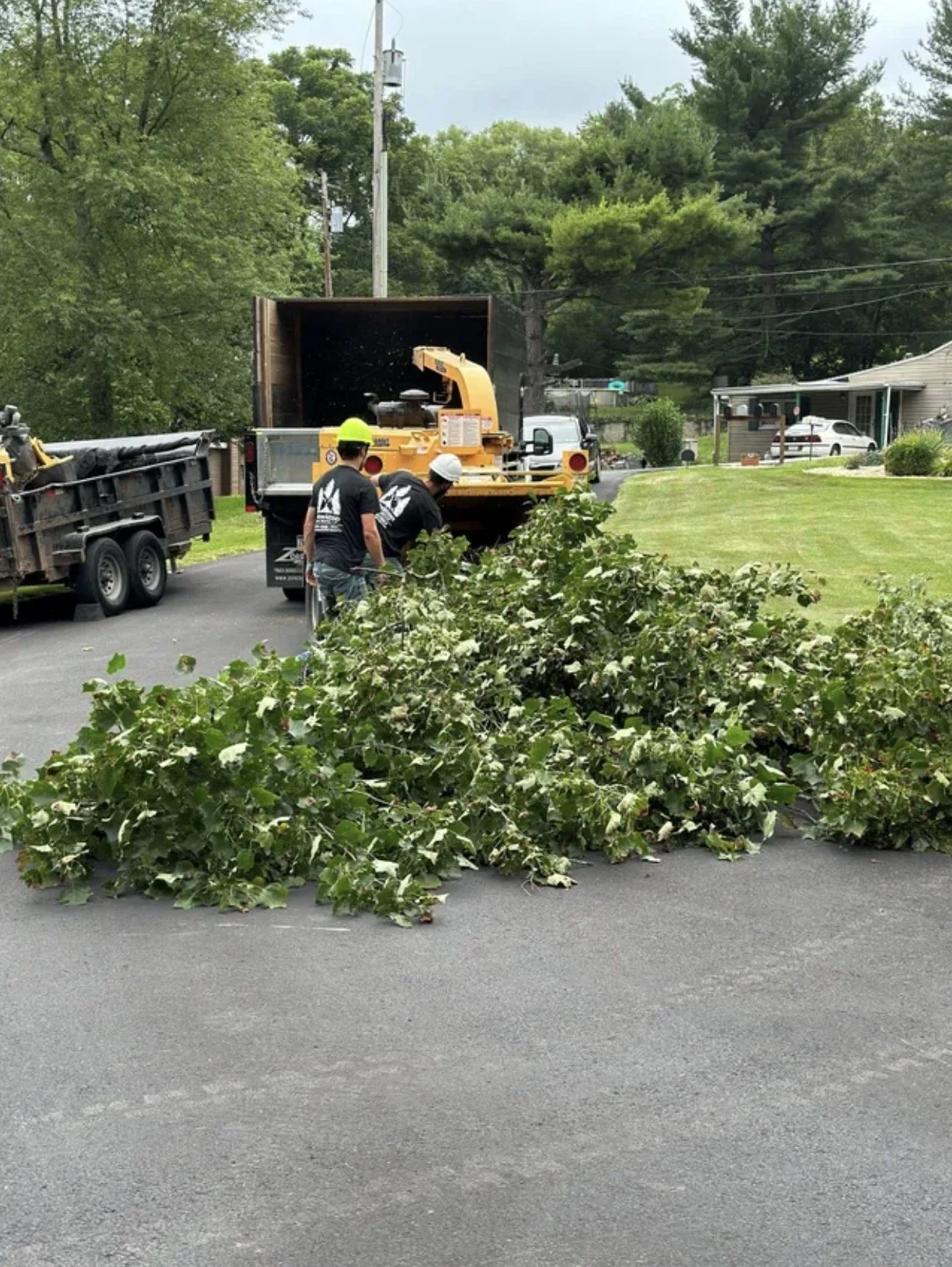 Trees and bushes fallen on a residential street, with workers using equipment to clear the debris from the road.