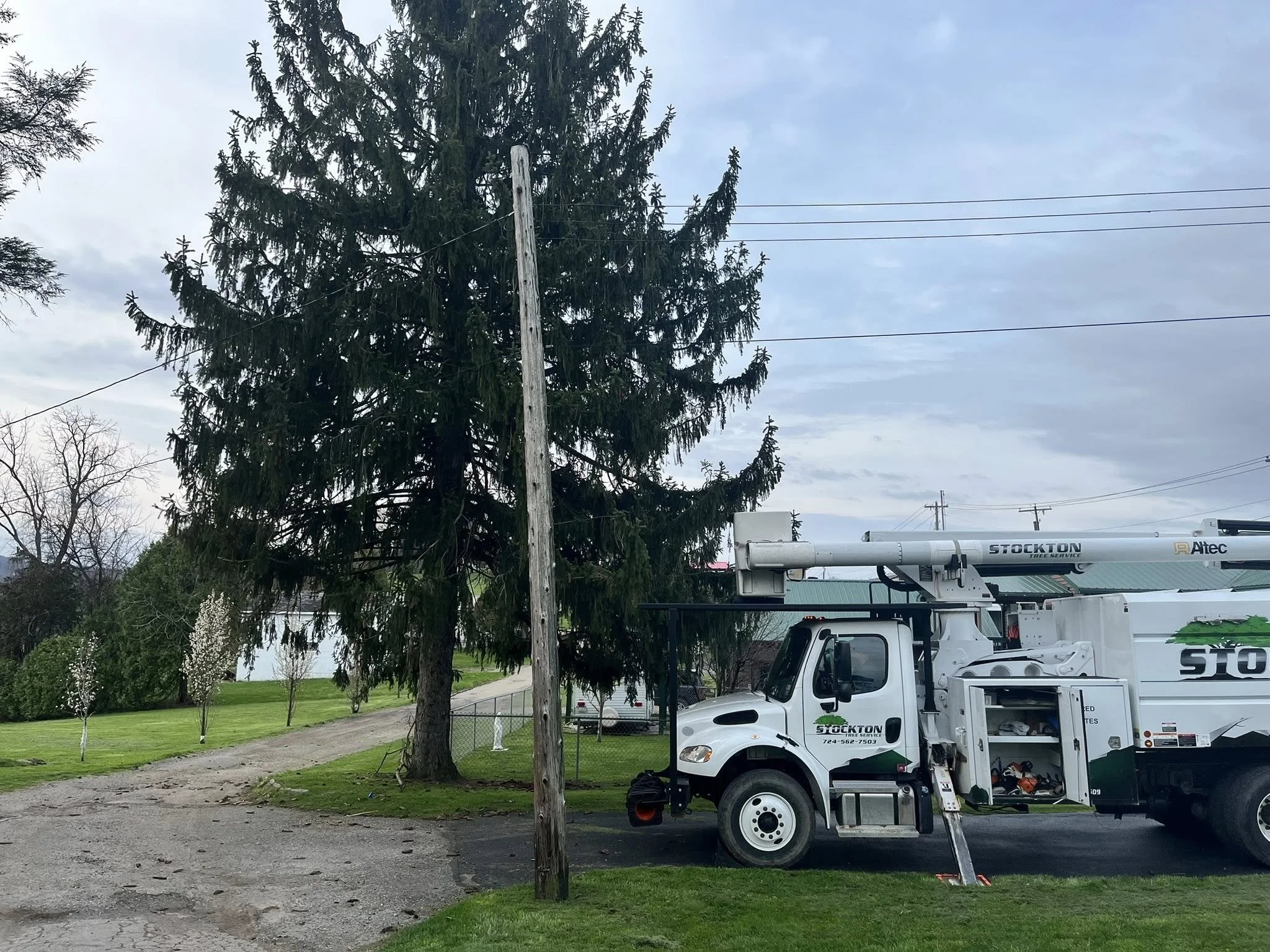 A utility bucket truck parked on a residential street next to a tall evergreen tree, with trees and a grassy lawn in the background. The truck has equipment on the side, and there is a power pole with wires, as well as some other trees and vehicles in the distance.