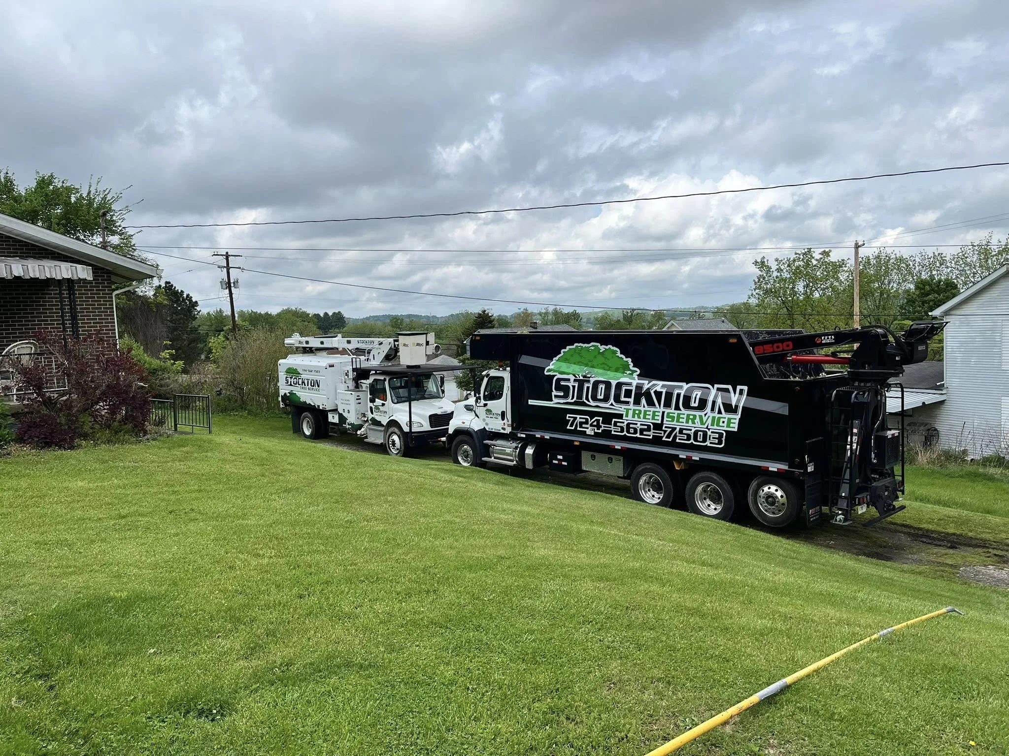 Two trucks from Stockton Tree Service parked on a lawn, with trees and houses in the background under a cloudy sky.