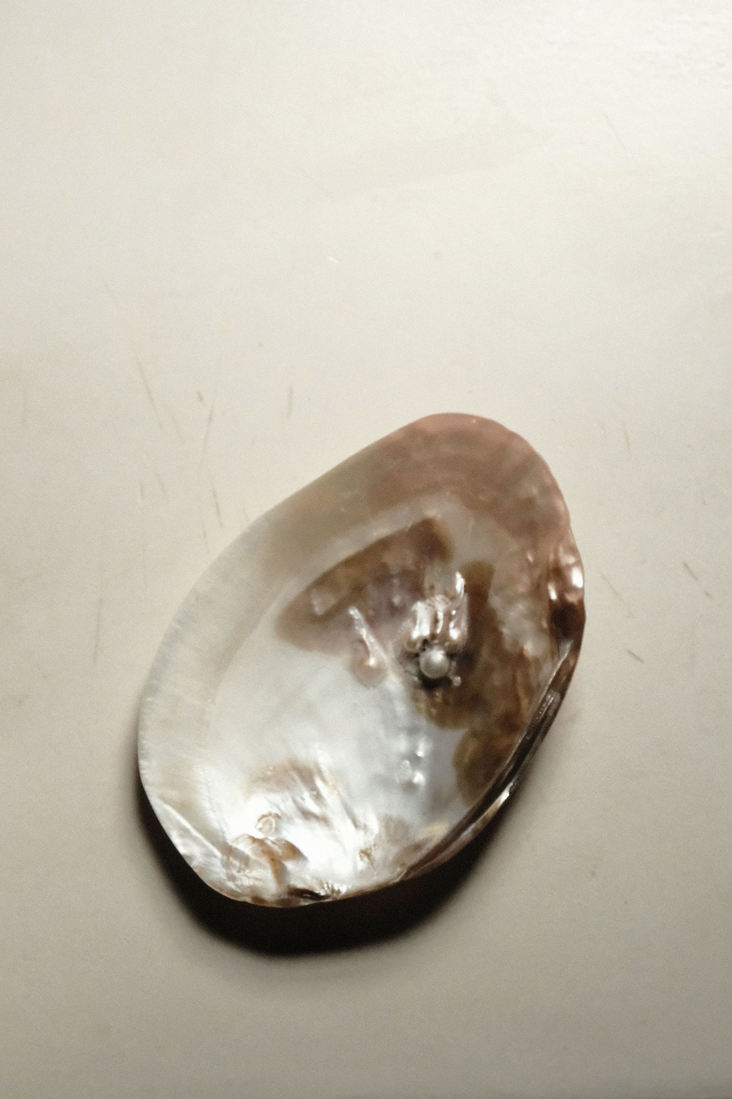 Humidité intérieure — Ce qu’il faut savoir