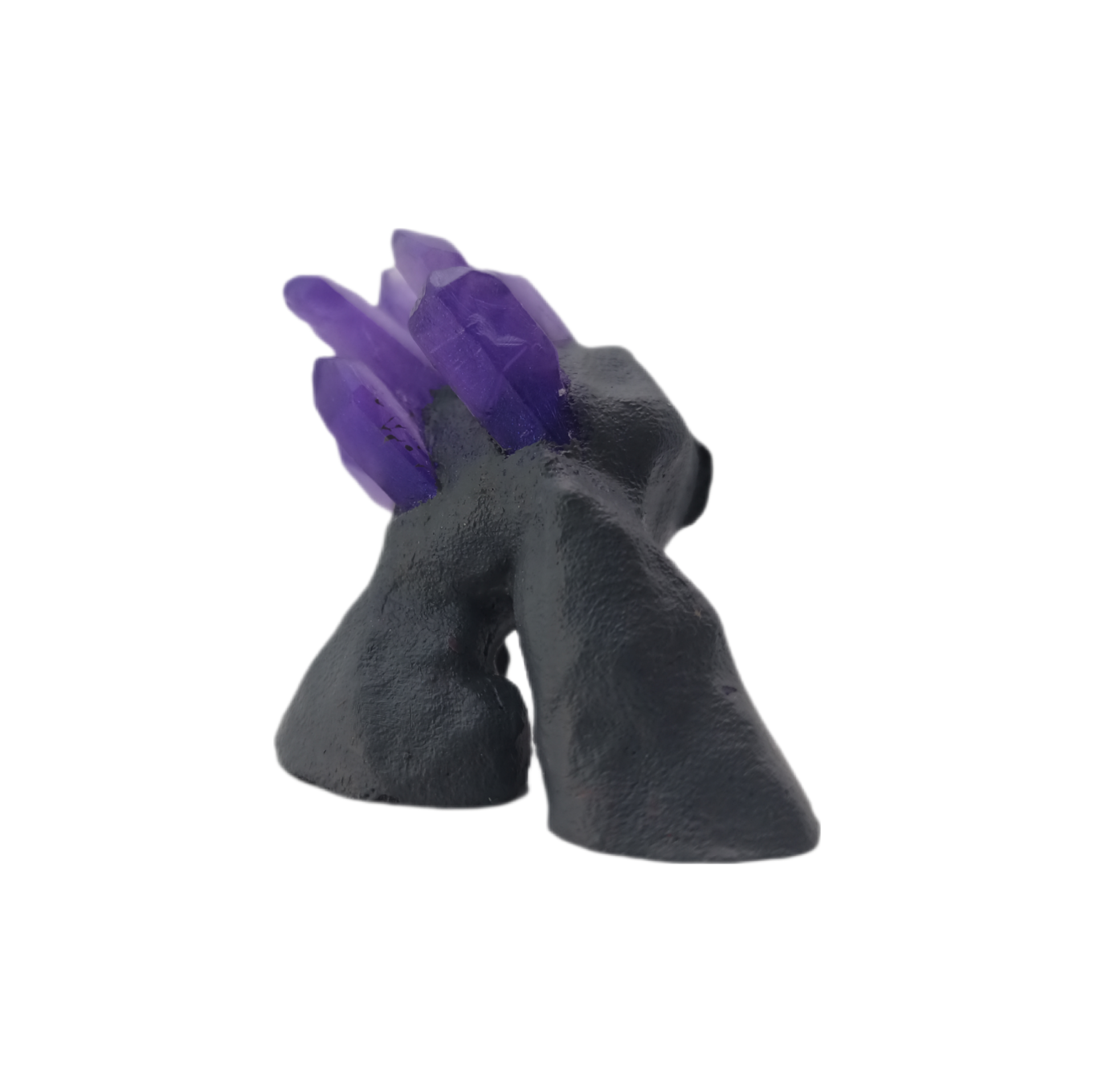 1000000265.png