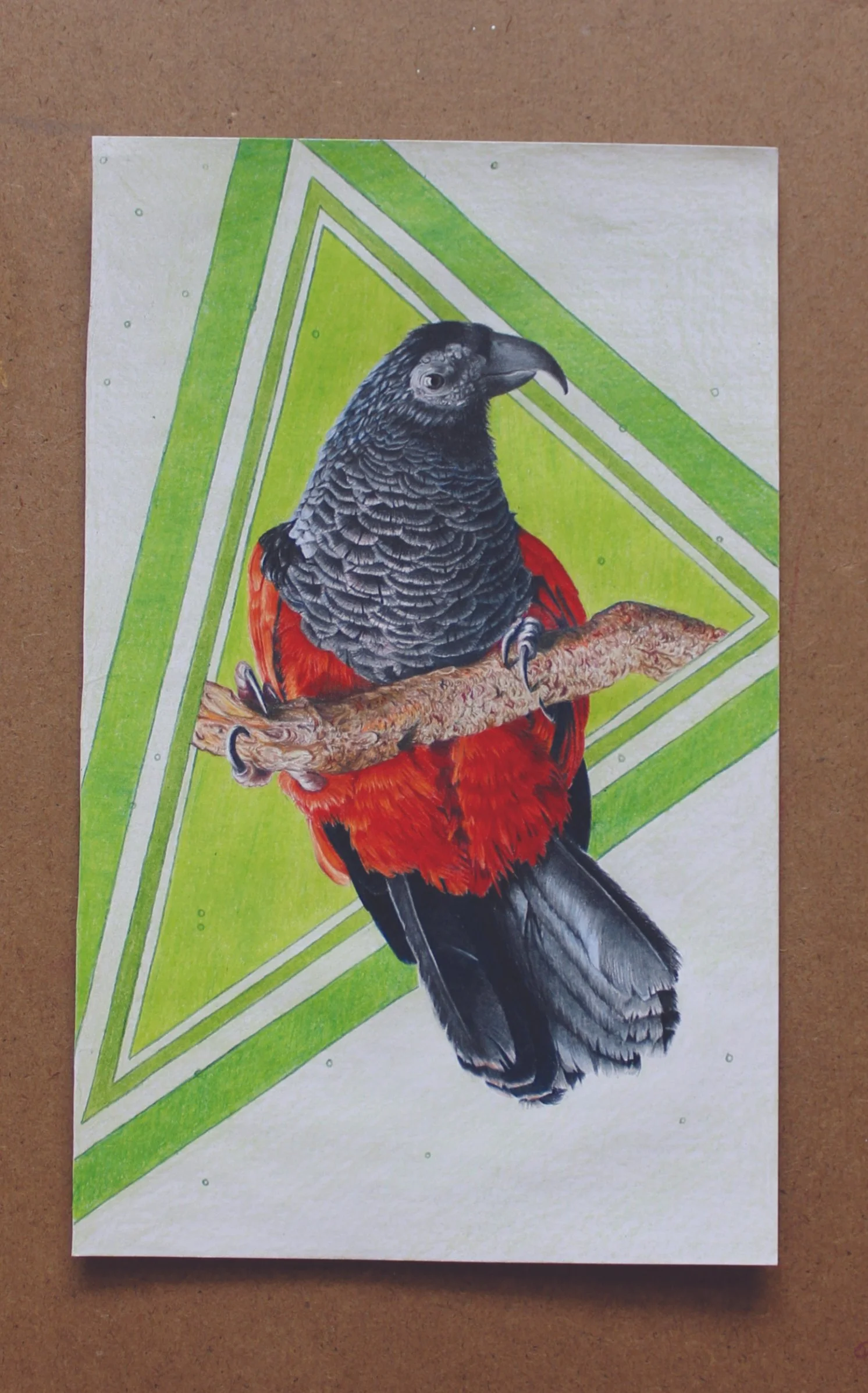 DraculaParrotshop.jpg