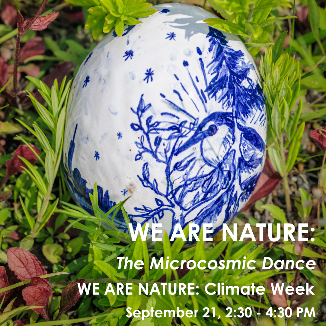 WE ARE NATURE: Climate Week — Watercolor for Birdwatchers Workshop