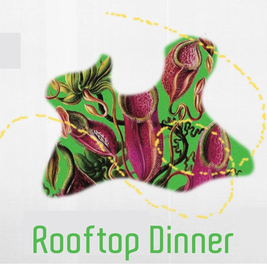Rooftop Dinner with The Light Eaters!
