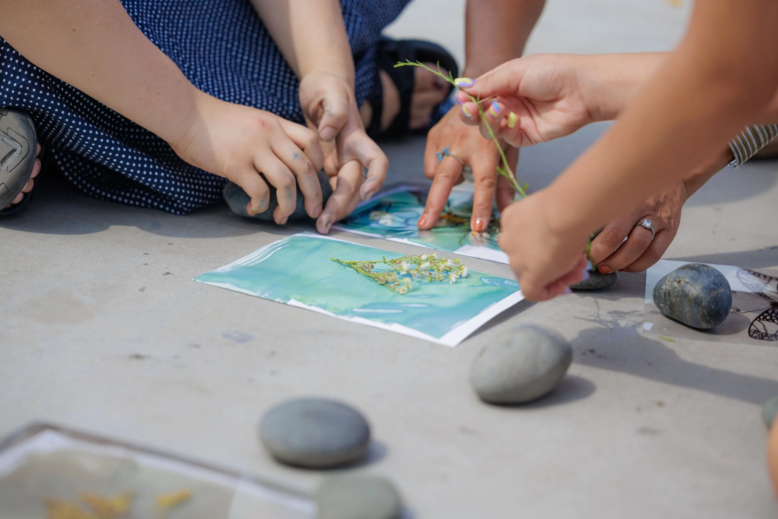 Jeannie Rhyu – Printing with the Sun Cyanotype Workshop on Middle Roof, Kingsland Wildflower Festival, 2025. Photo: Tao Ho