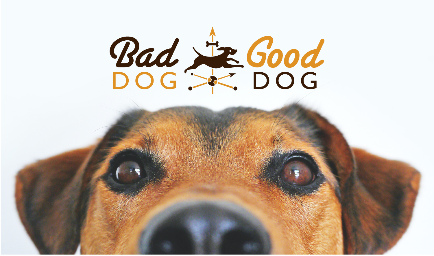 GOOD DOG, BAD DOG
