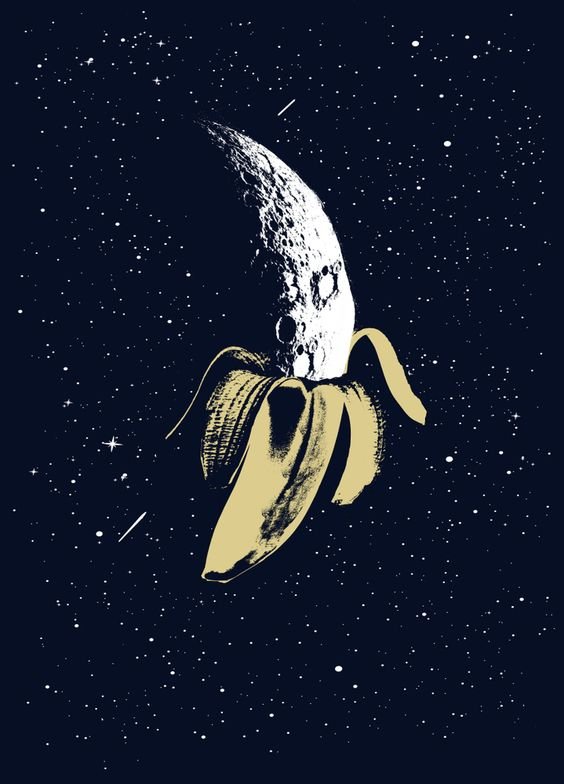 Banana Moon Publishing