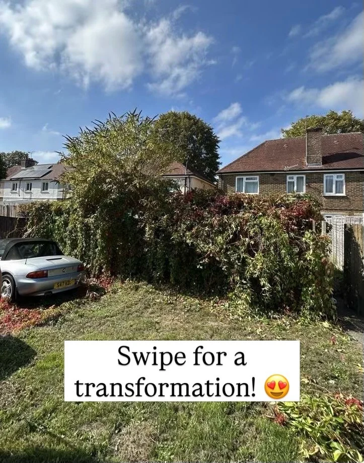 What a difference a tidy-up can make! 🌿✨

This garden was in need of a good clear-out, so we got to work removing the ivy and climbers from the shed wall and roof, cutting back the buddleia and clearing away all the green waste 🙌🏻

Swipe across to