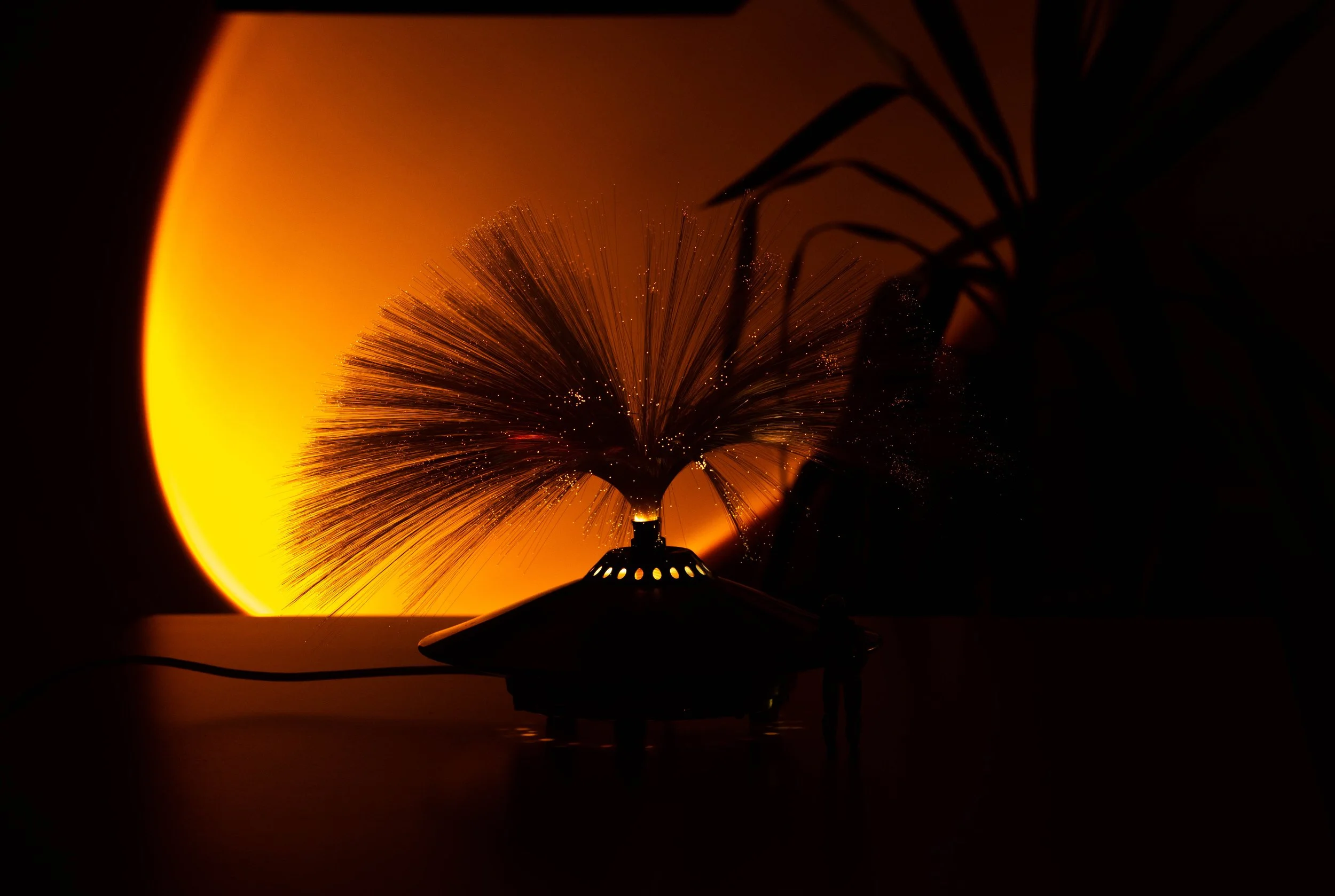 DSC02883v2.jpg