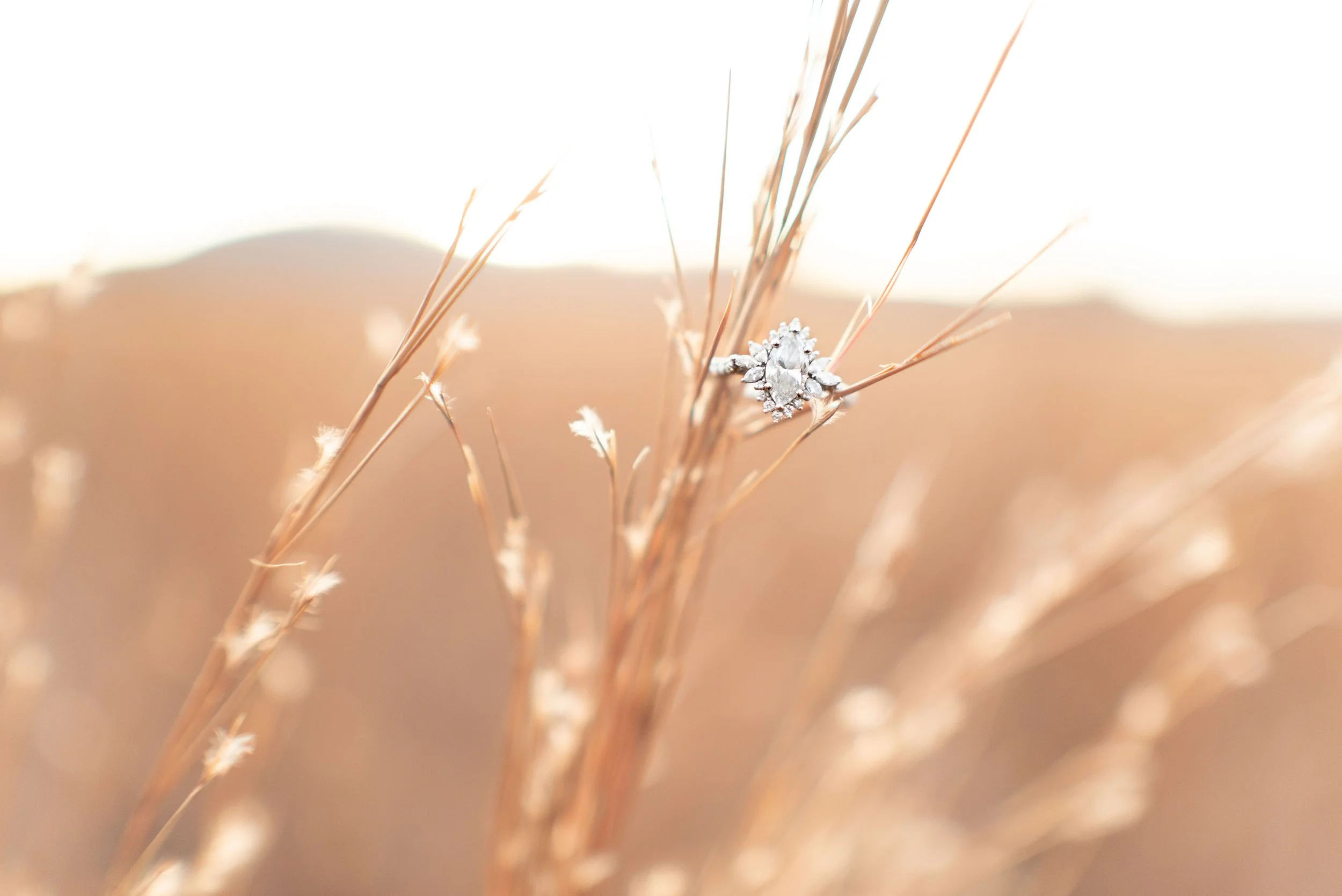 MN Wedding Photoraphy - Amelia Roemer Photography.jpg