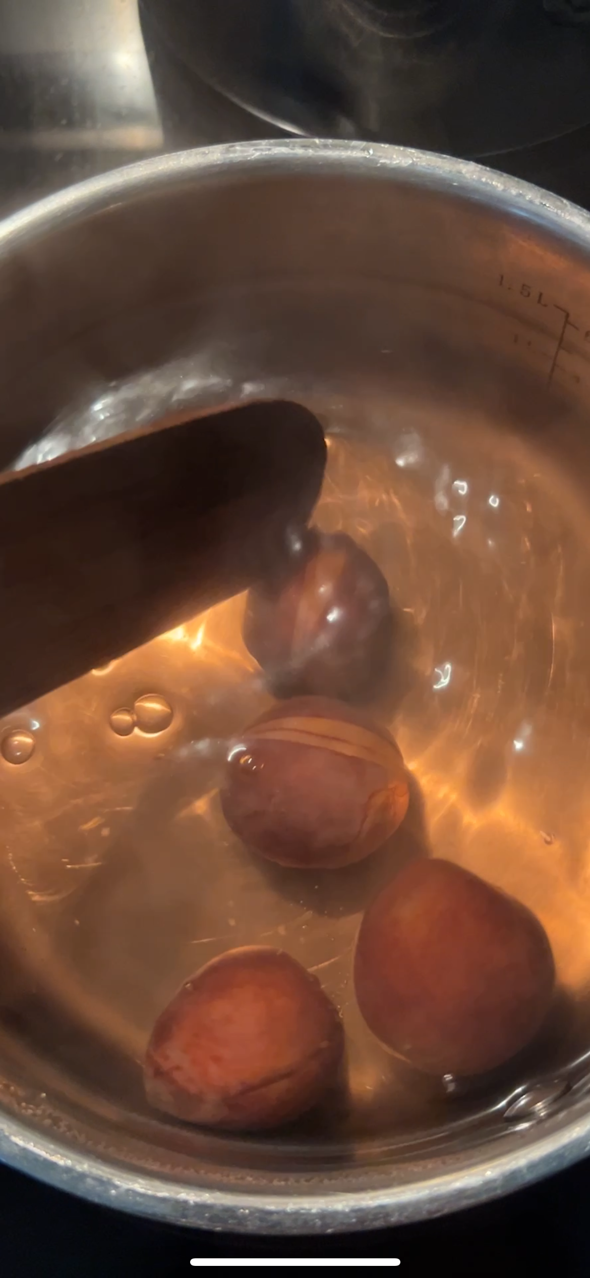 dyeing with avocados