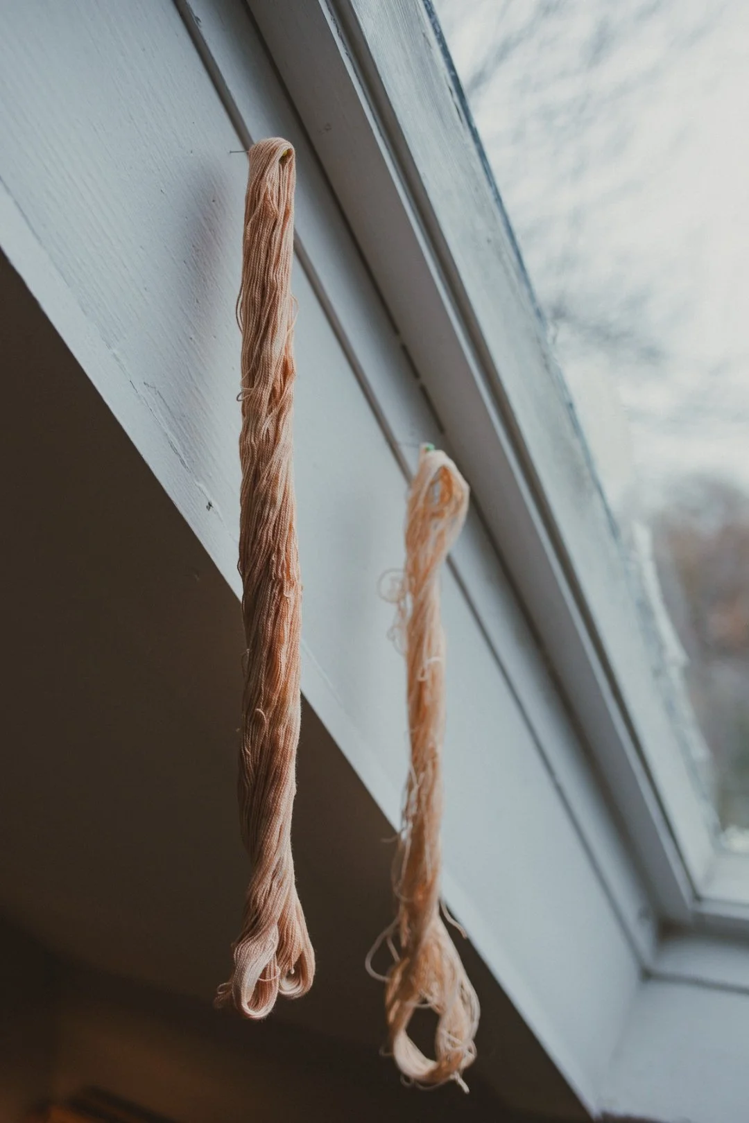 dyeing with avocados how to