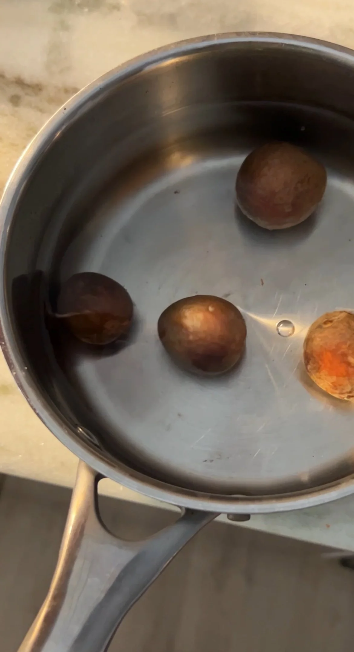 dyeing with avocados