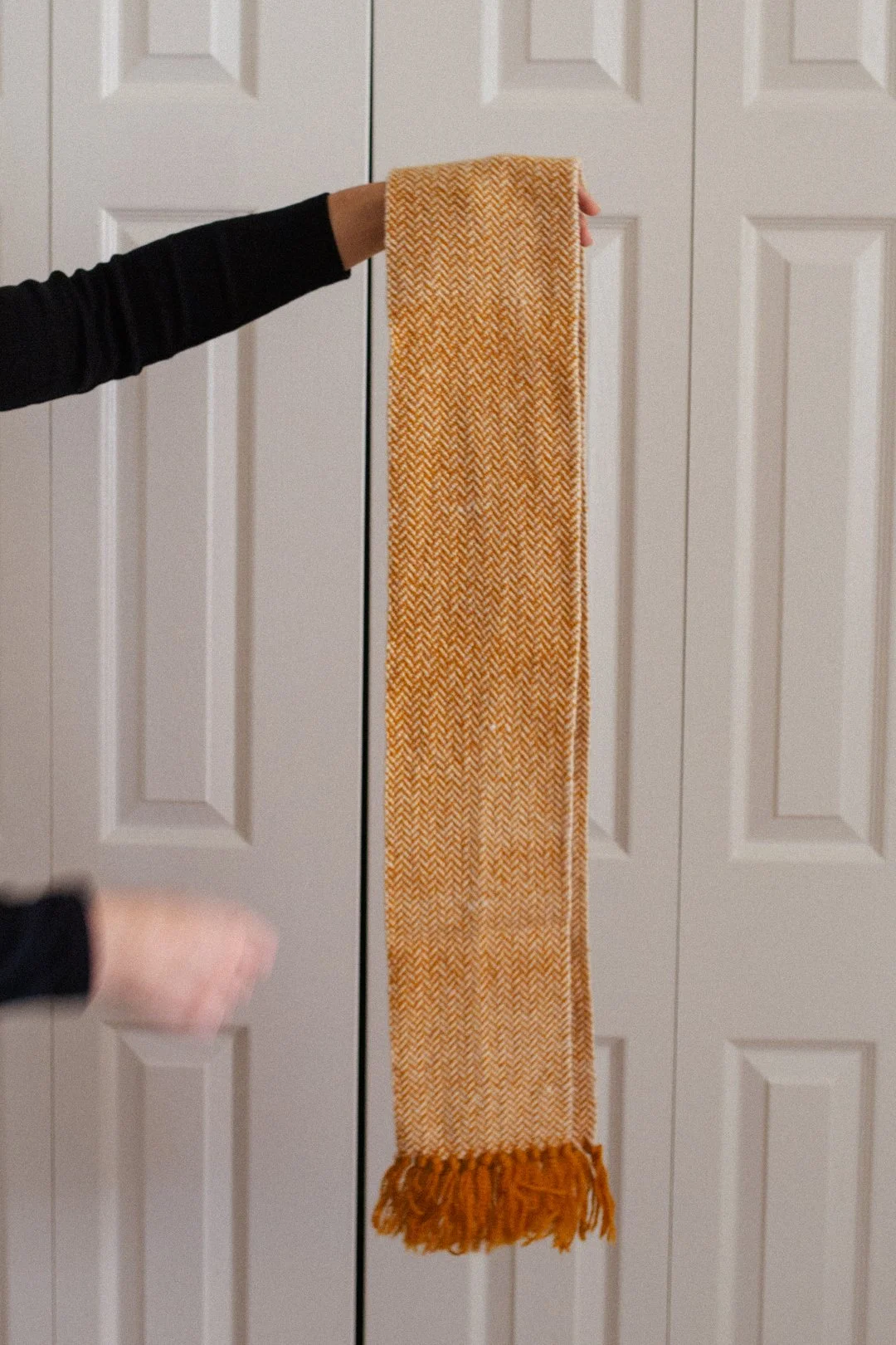 scarves 2026 october-09.jpg