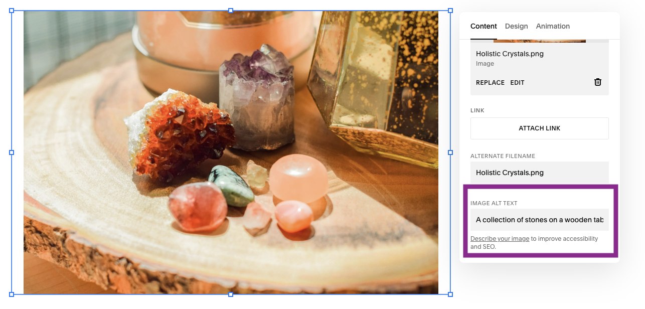 Website builder image settings panel showing where to enter alt text for an image, with the "Image Alt Text" field highlighted